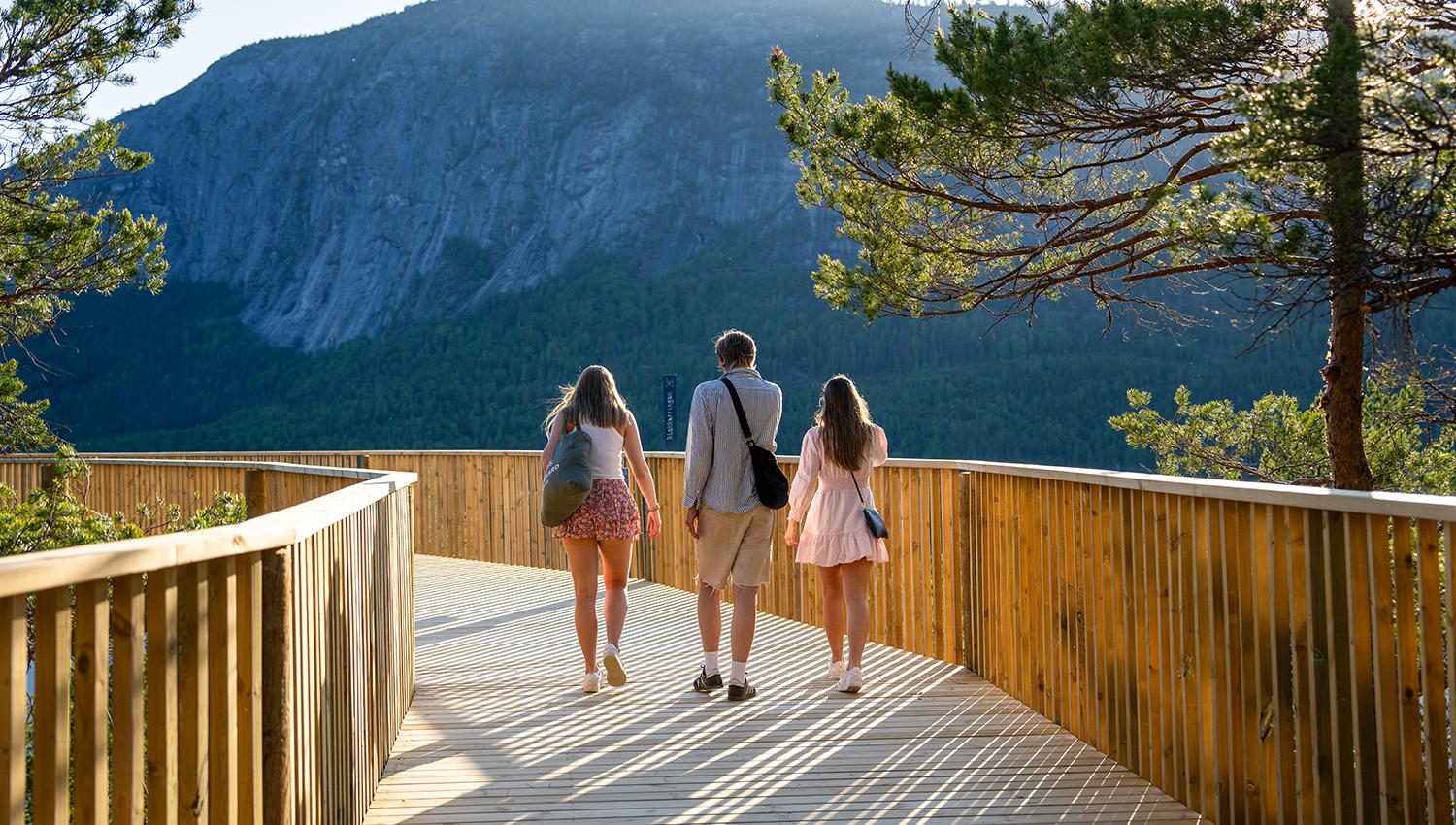 Friends hiking on the treetop trail.