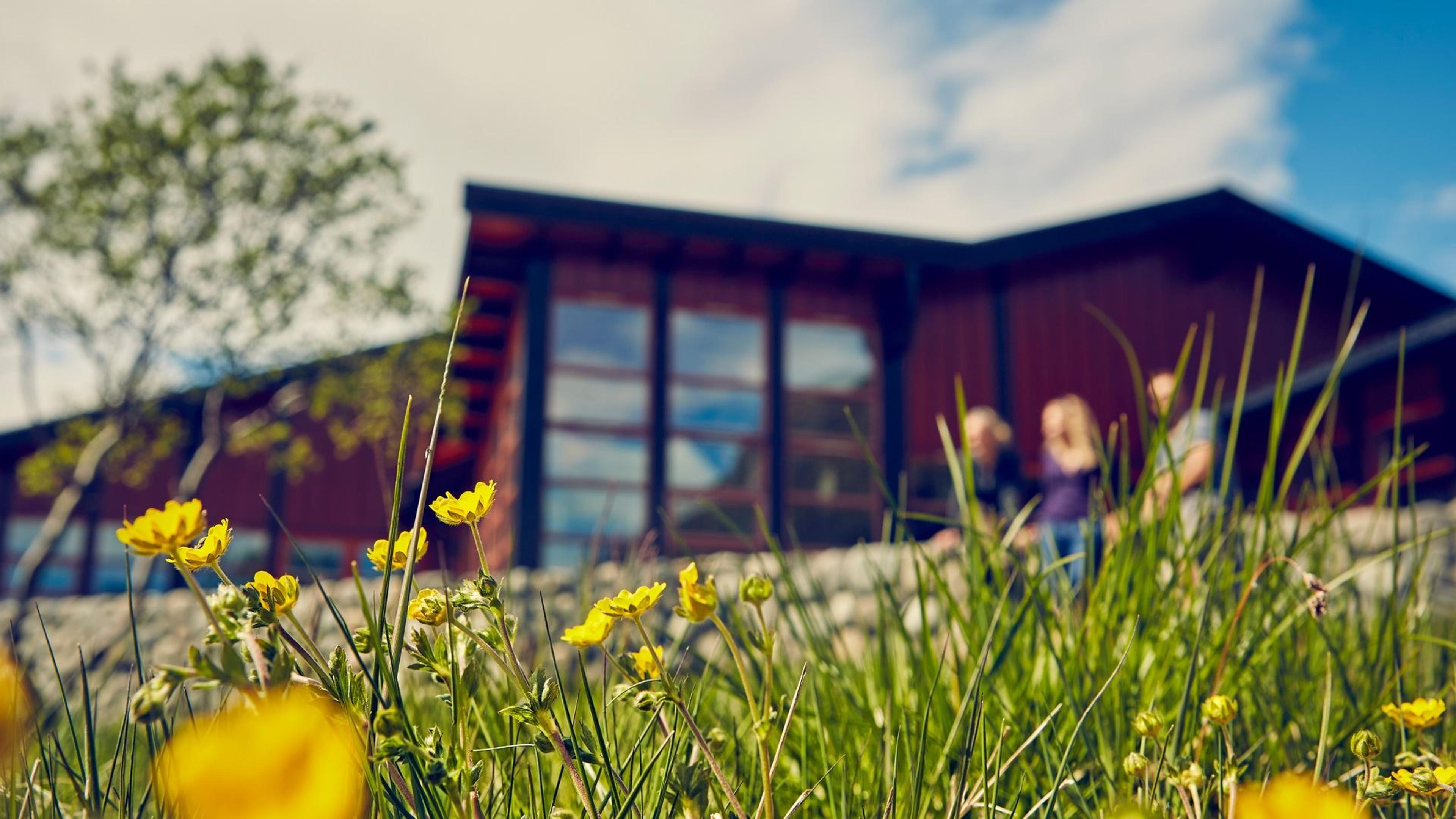 Memurubu turisthytte