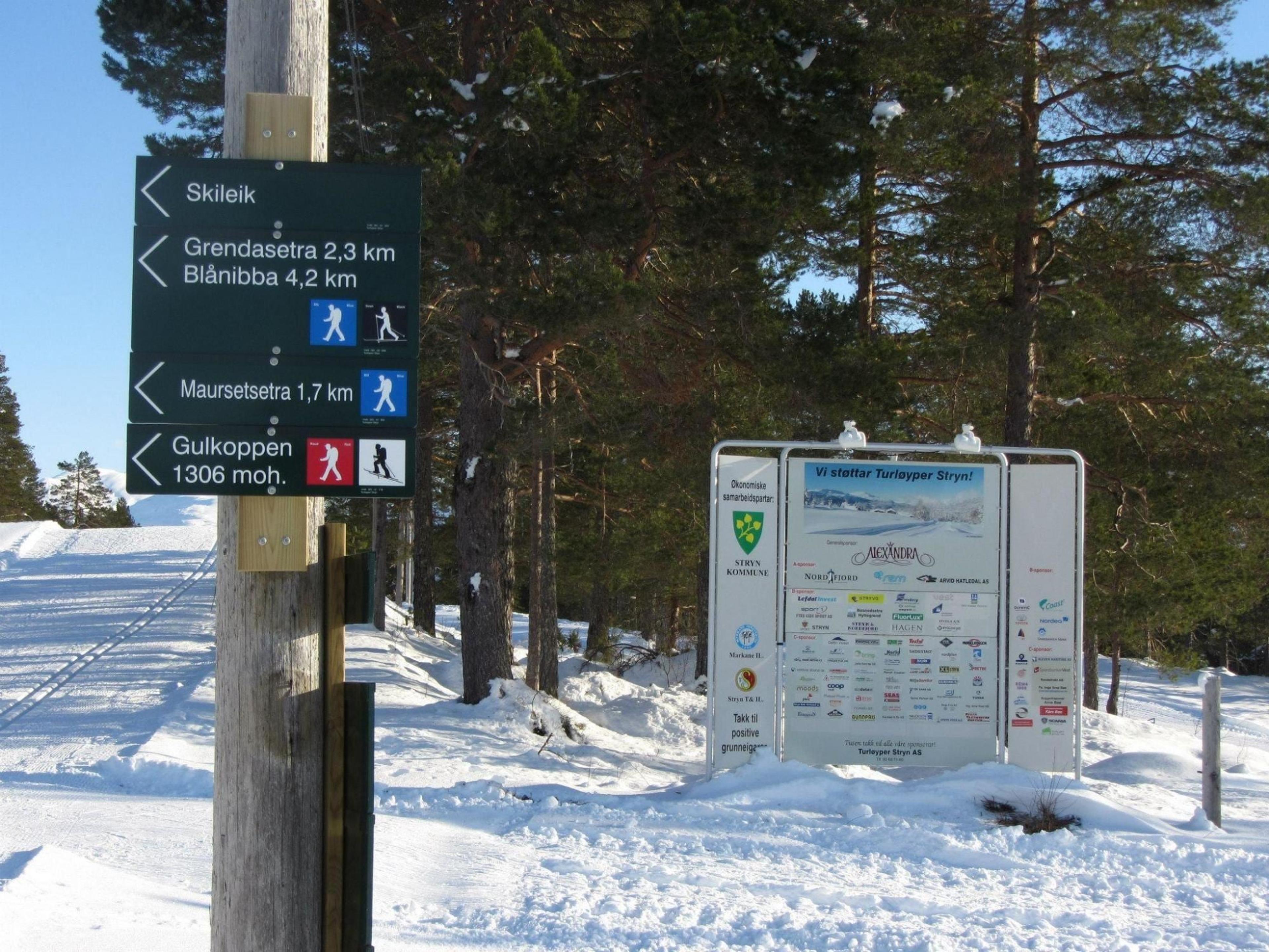 Cross-country skiing | Stryn 