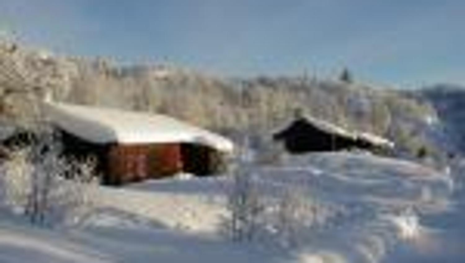 Arabu vinter2