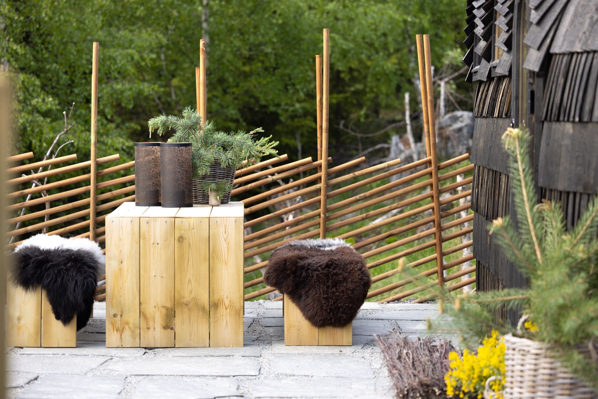 2 krakker med et bord og gjerde i bakgrunn