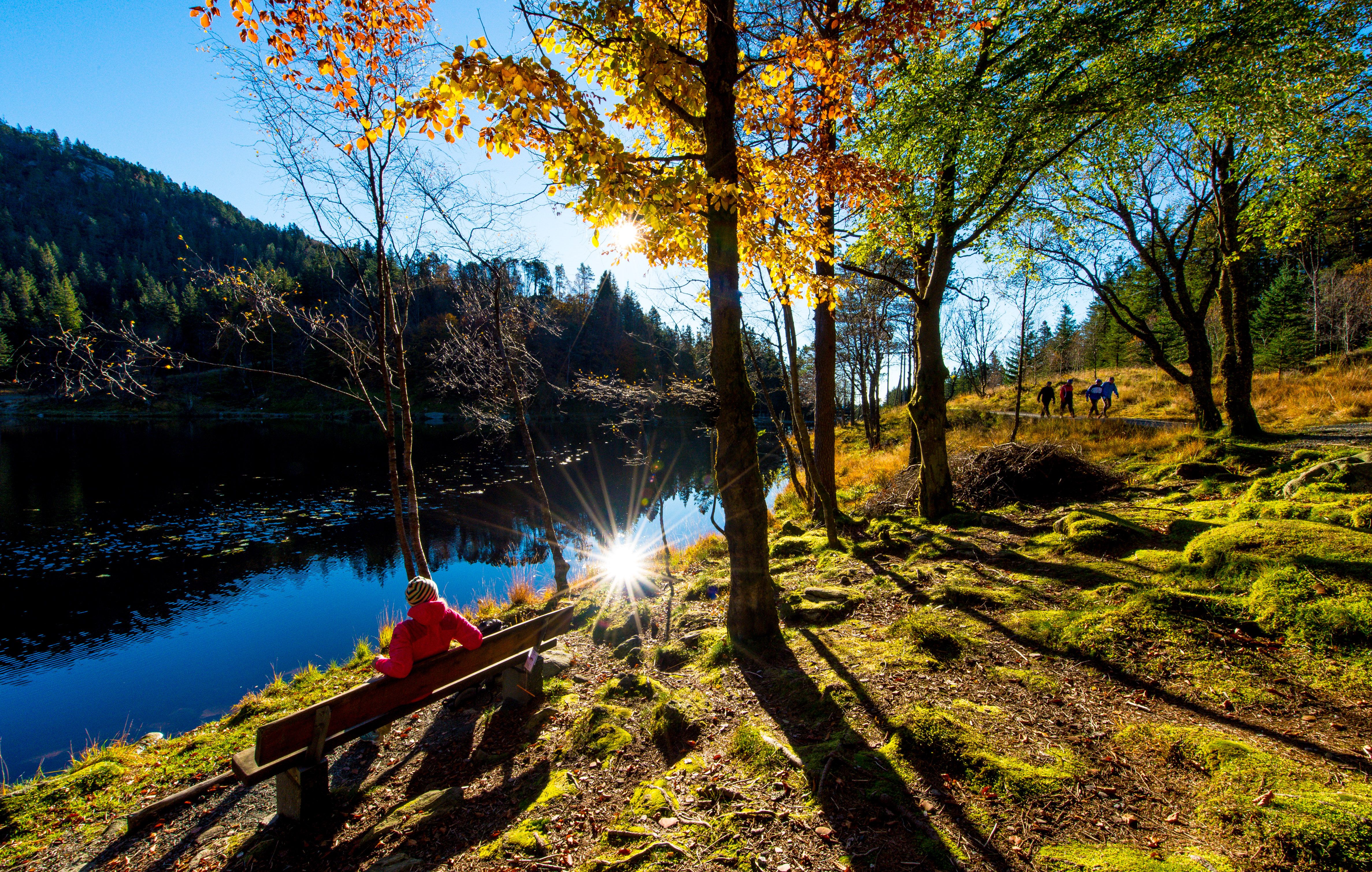 Høstdag på Fløyen