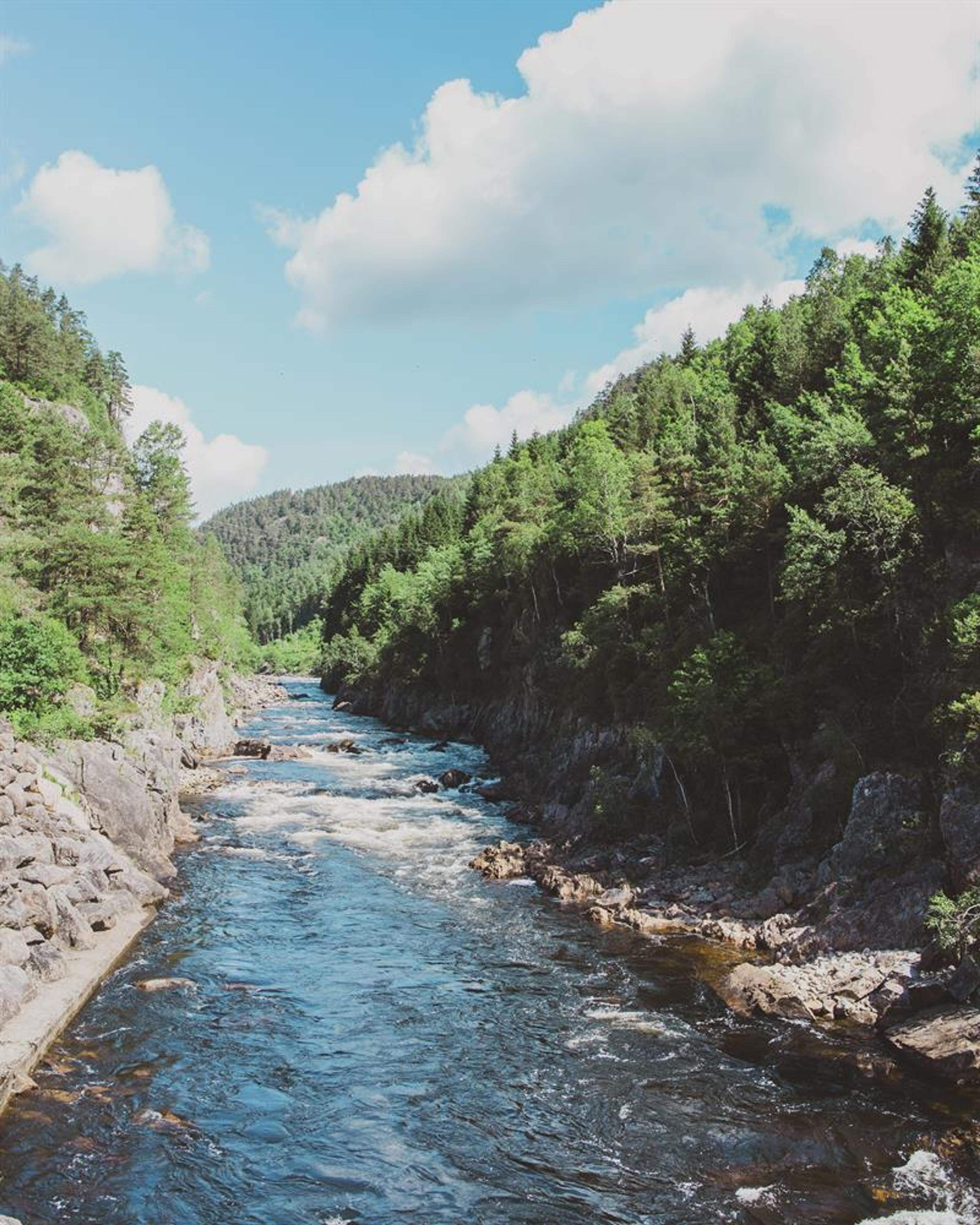 Rennende bekk midt i med skog på hver sin side. Fint vær og noen skyer