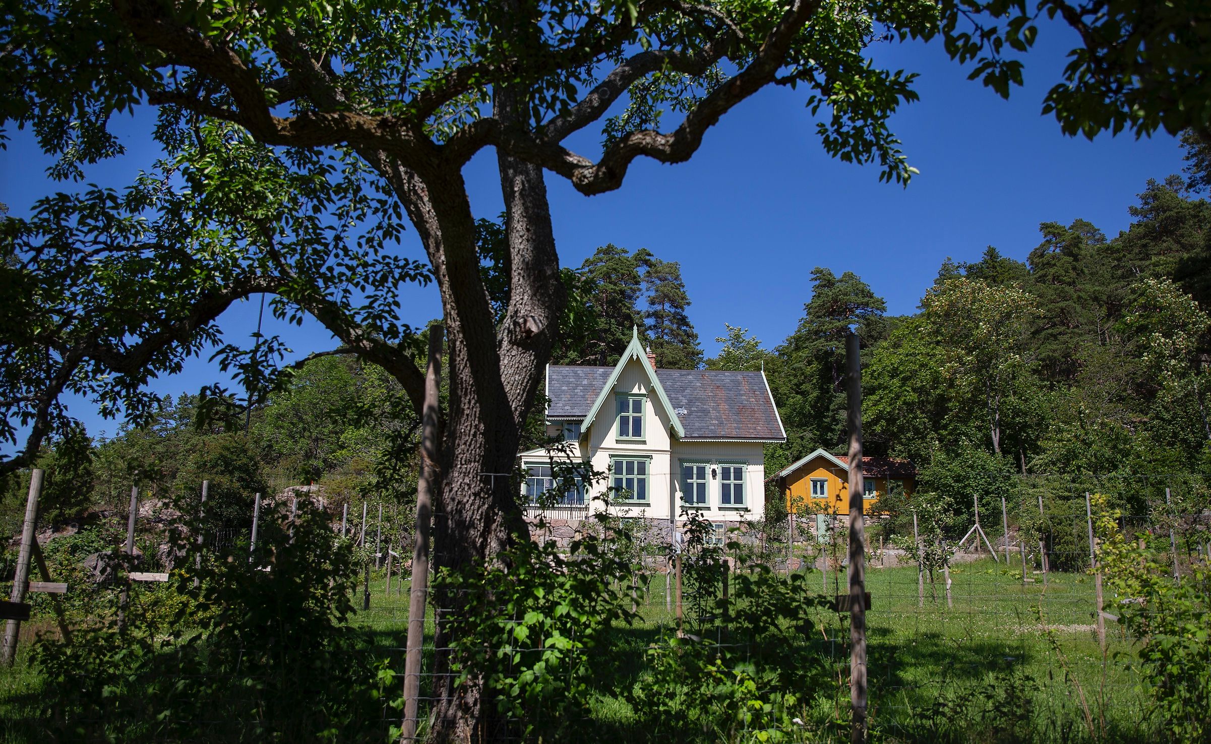 Grønt landskap og hvitt hus