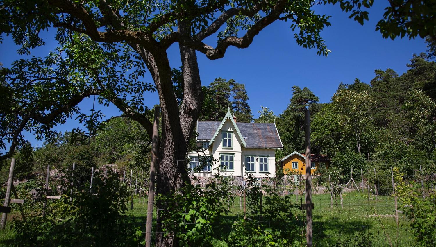 Grønt landskap og hvitt hus