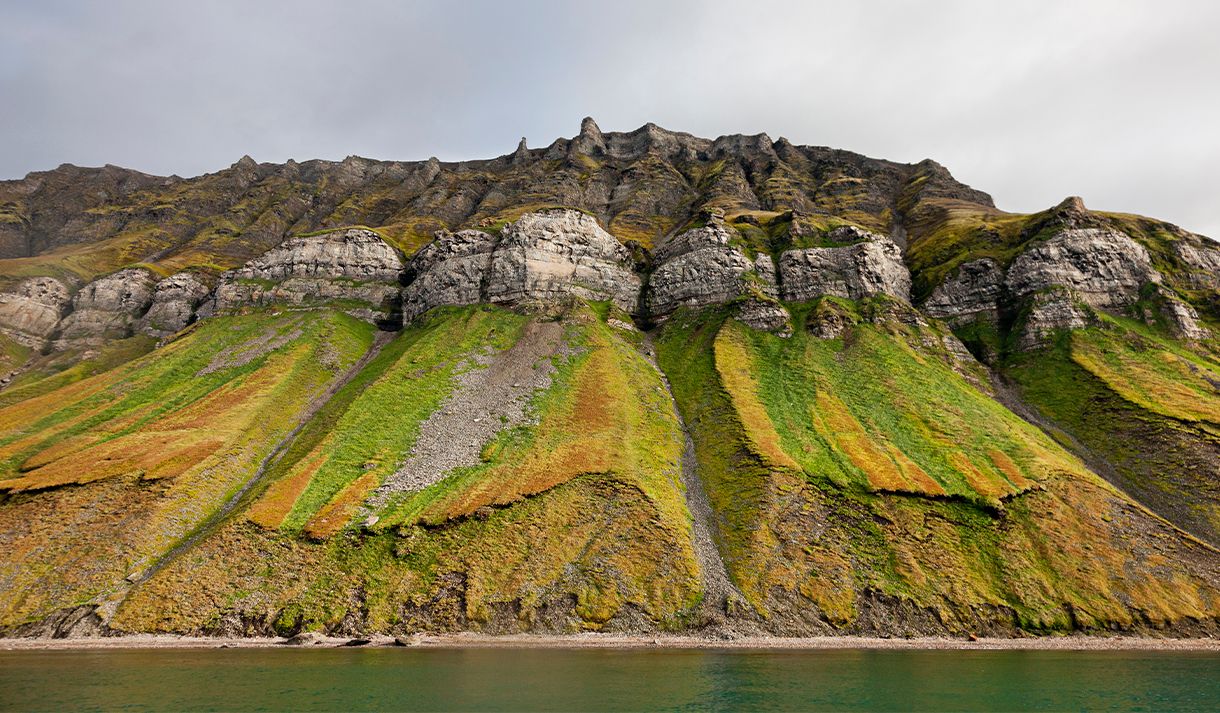 Mountain sides with green vegetation and bird cliffs high up in the mountains, with a shoreline and fjord in the foreground