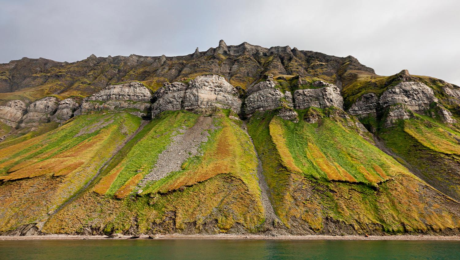 Mountain sides with green vegetation and bird cliffs high up in the mountains, with a shoreline and fjord in the foreground