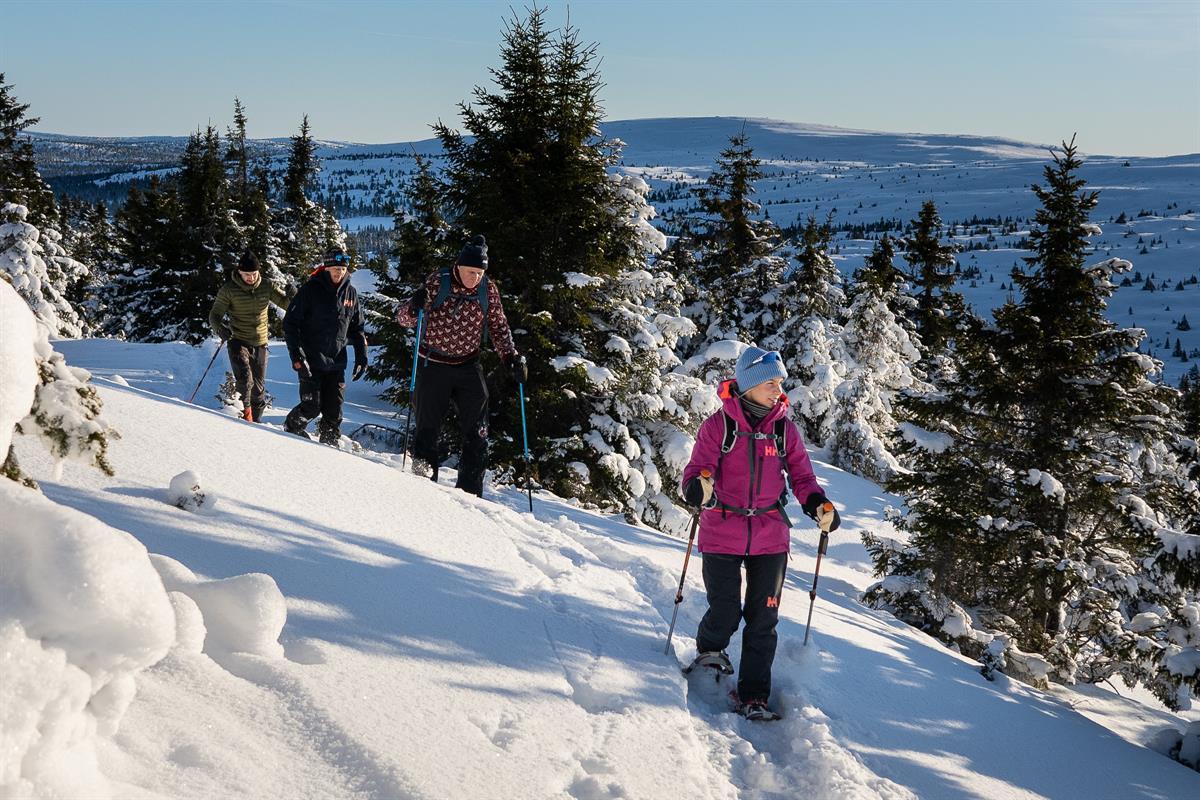På trugetur i skogen