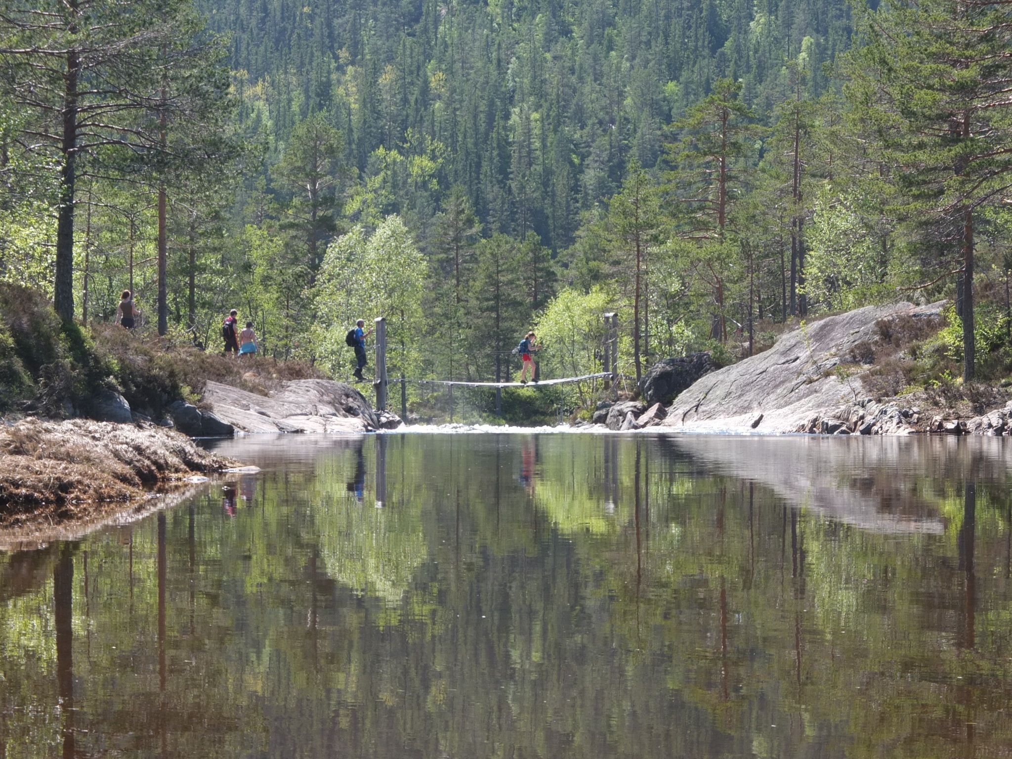 Rjukanfossen og Årdalen naturreservat