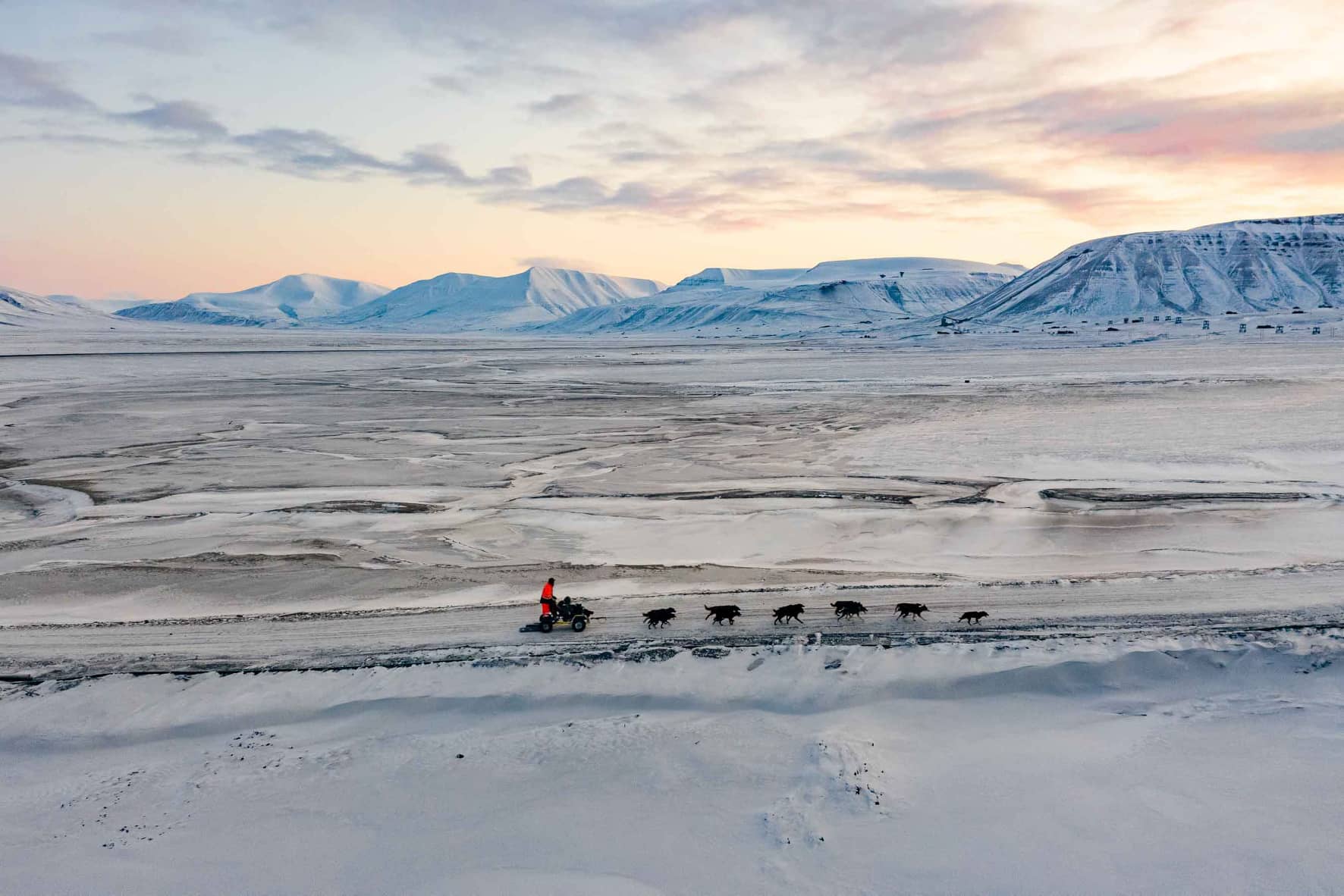A dog wagon driving along a road in a frozen landscape