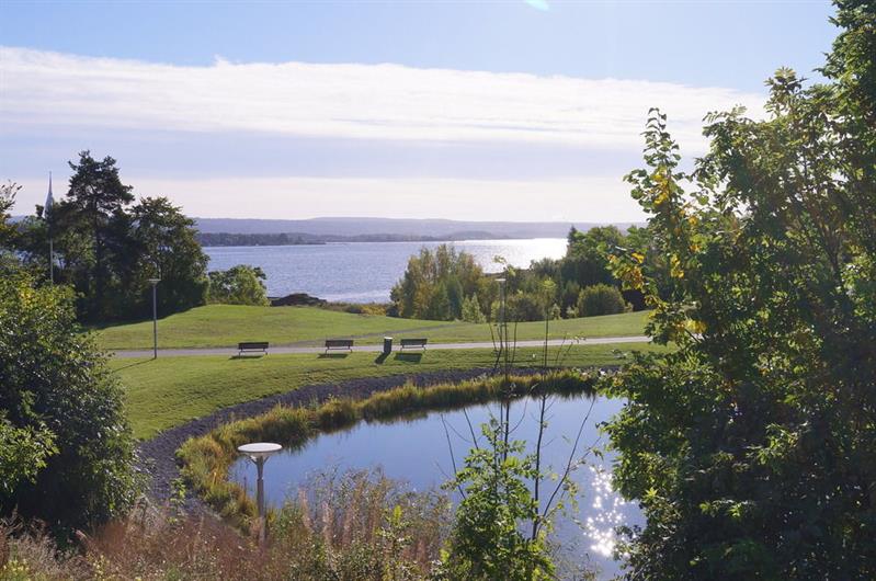 Outdoor with dam and sea view