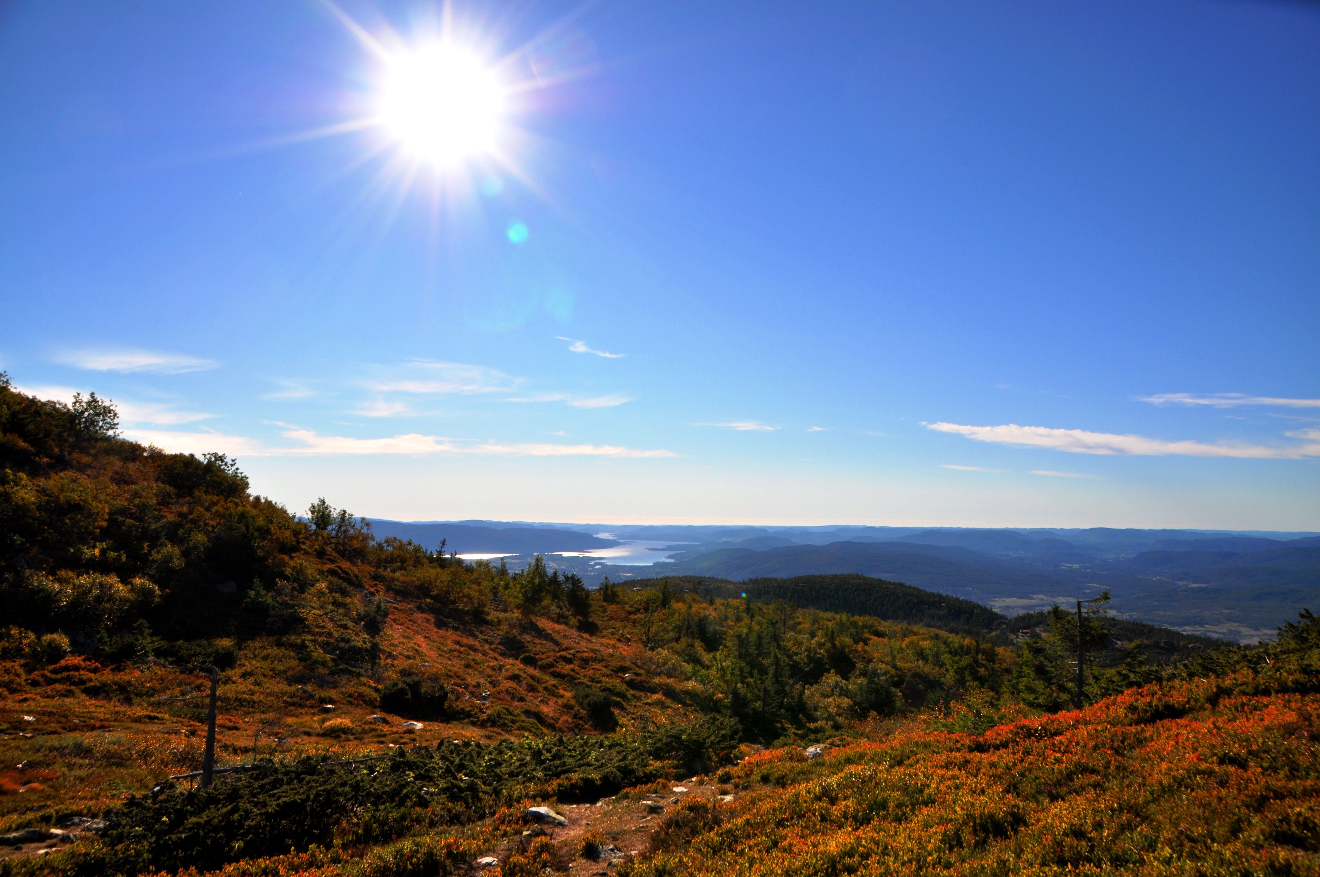 Fra Glexefjell på Lifjell, en topp på 1120 meter over havet. Solskinn, blå himmel, høstfarget lyng og flott utsikt over Norsjø og Telemark.