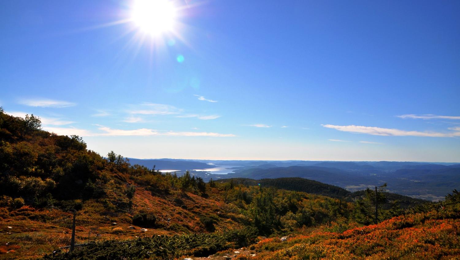 Fra Glexefjell på Lifjell, en topp på 1120 meter over havet. Solskinn, blå himmel, høstfarget lyng og flott utsikt over Norsjø og Telemark.