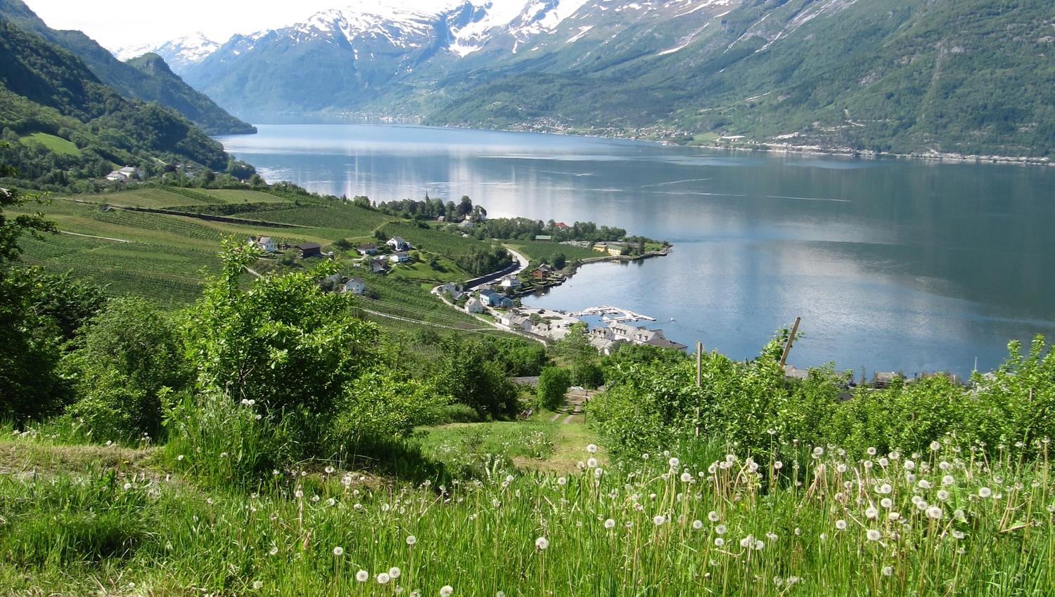 Panoramautsikt over fjordlandskapet frå Hovden rundt med grøne lier og snødekte fjell i Hardanger.