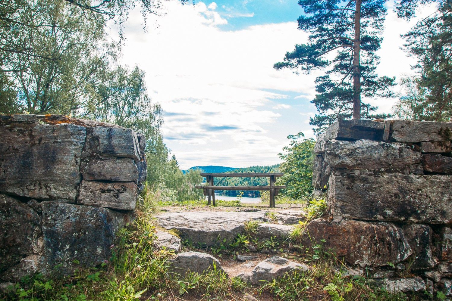 benk med bord til å ta en pause i skogen
