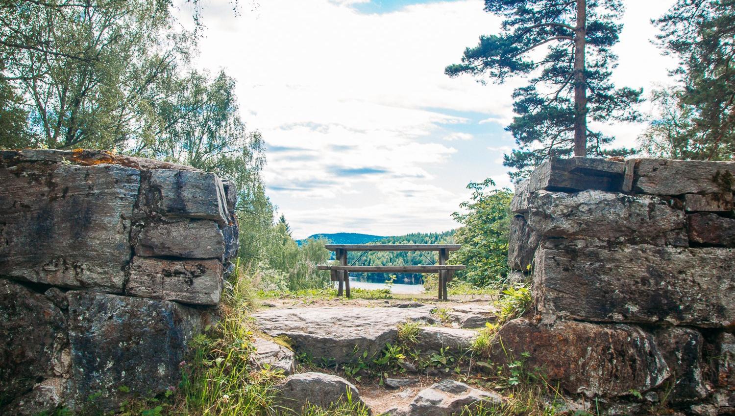 benk med bord til å ta en pause i skogen