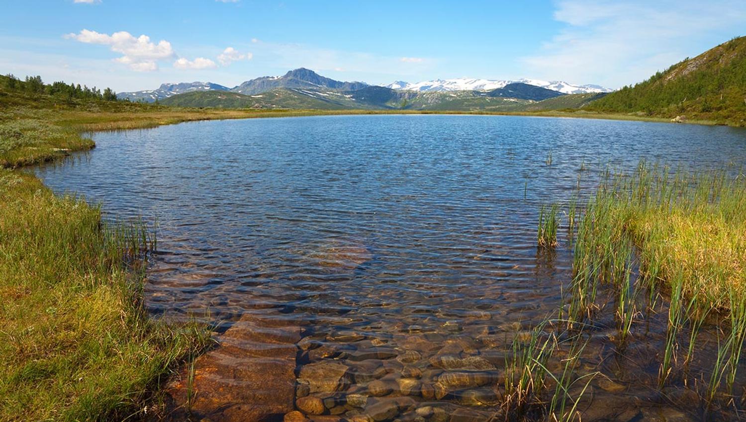 Ved Tutjern med Bitihorn i bakgrunnen.