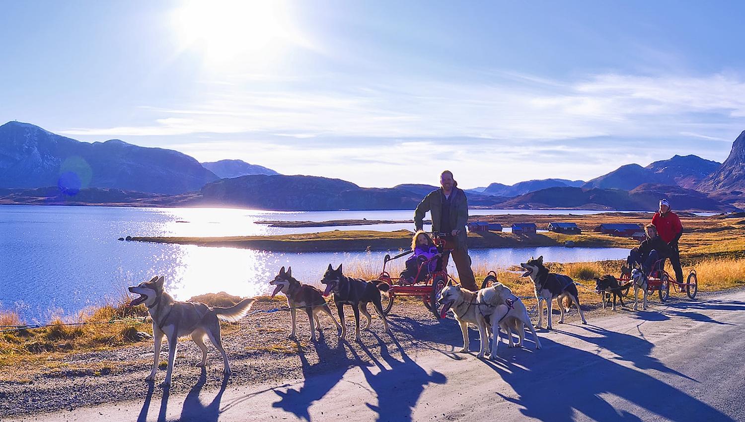 Hundekjøring på hjul ved foten av Jotunheimen