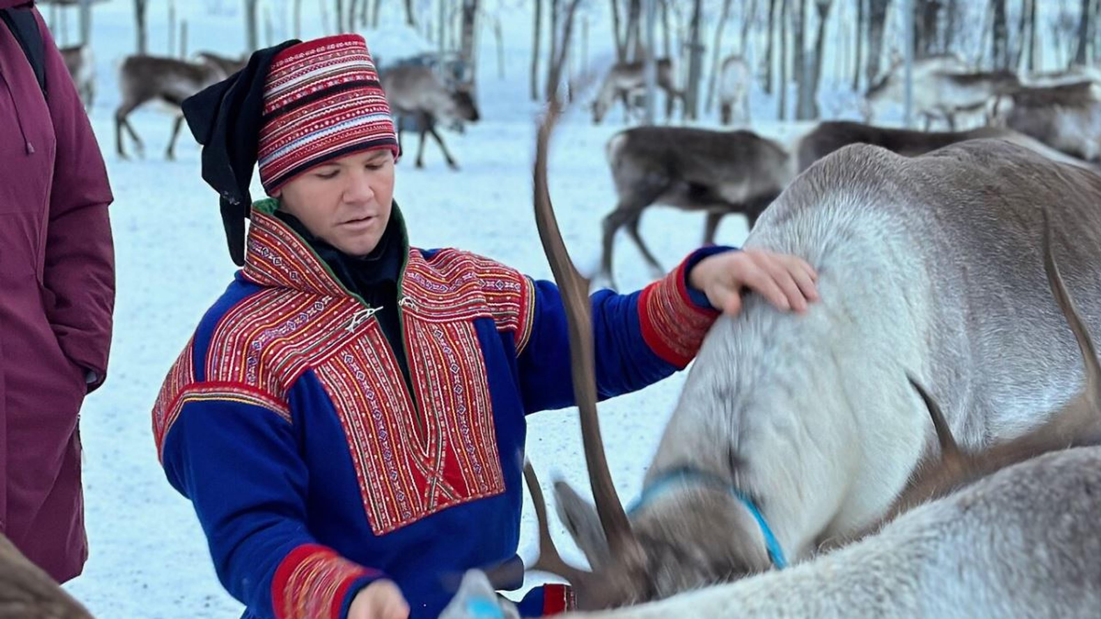 Sami-camp visit with a reindeer experience