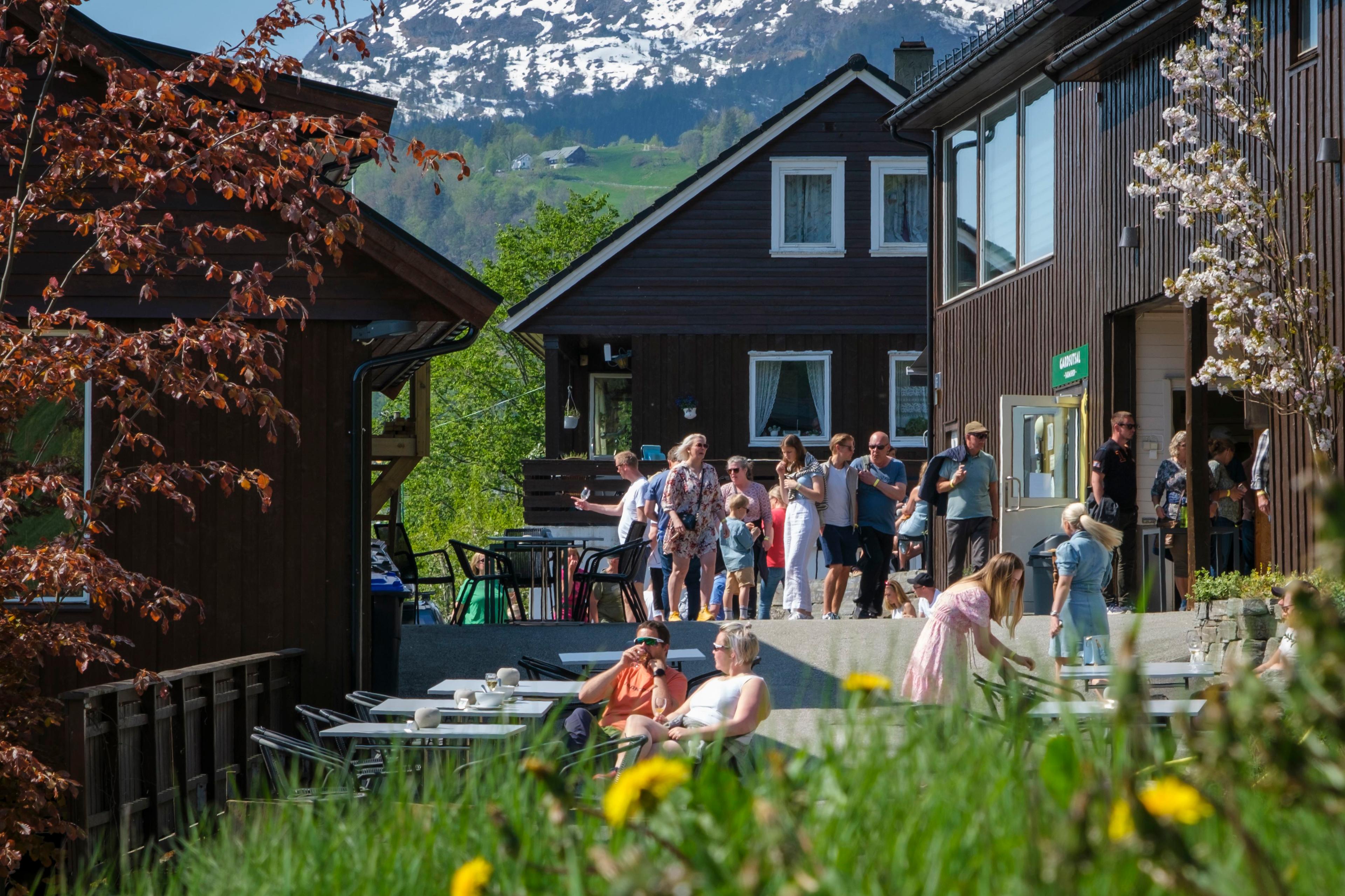 Guided tour and tasting at the Fruit and Cider Route, Ulvik