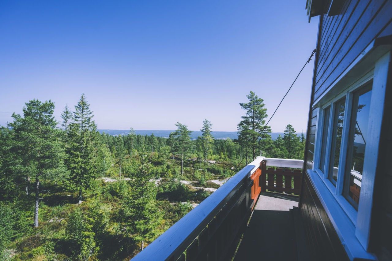 utsikt fra øverst i tårnet