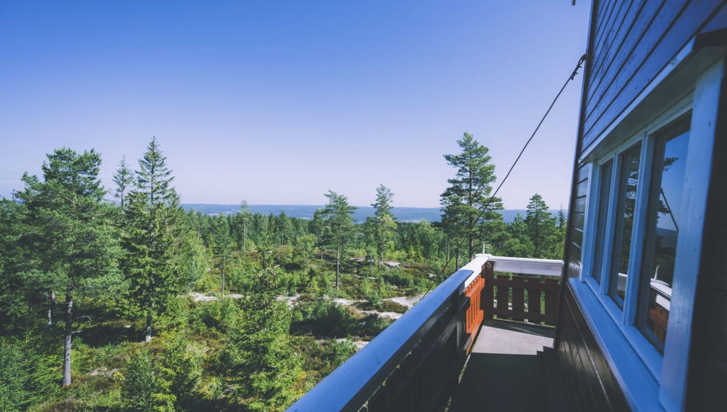 utsikt fra øverst i tårnet