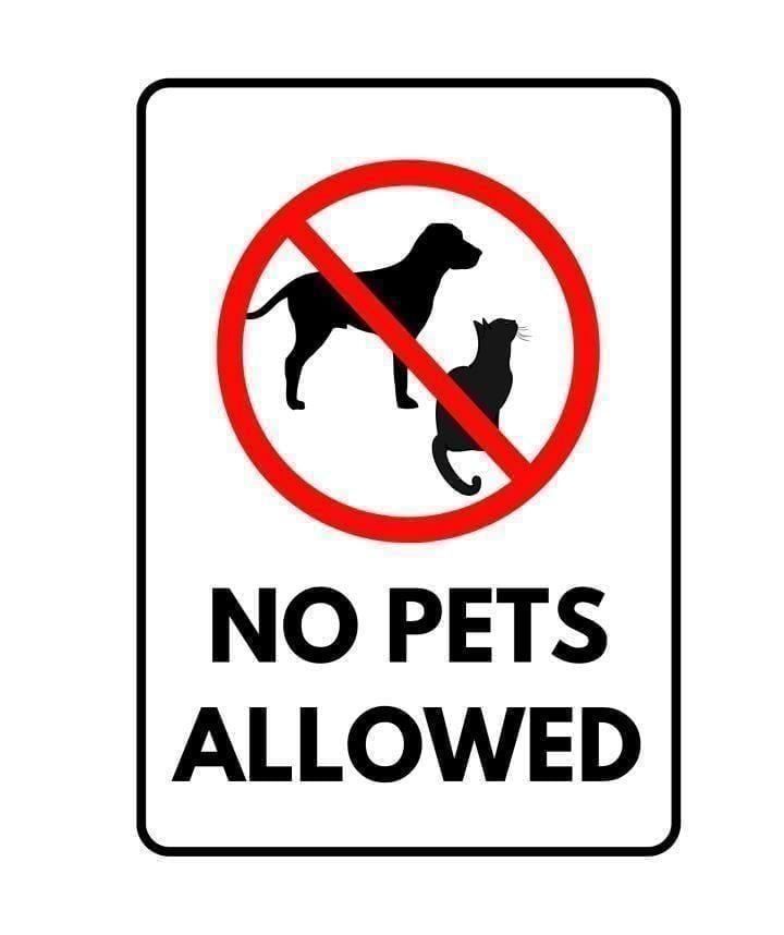 No pets