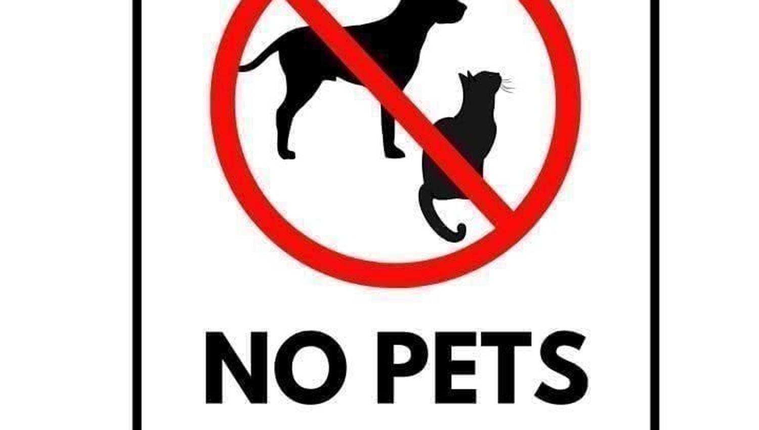 No pets