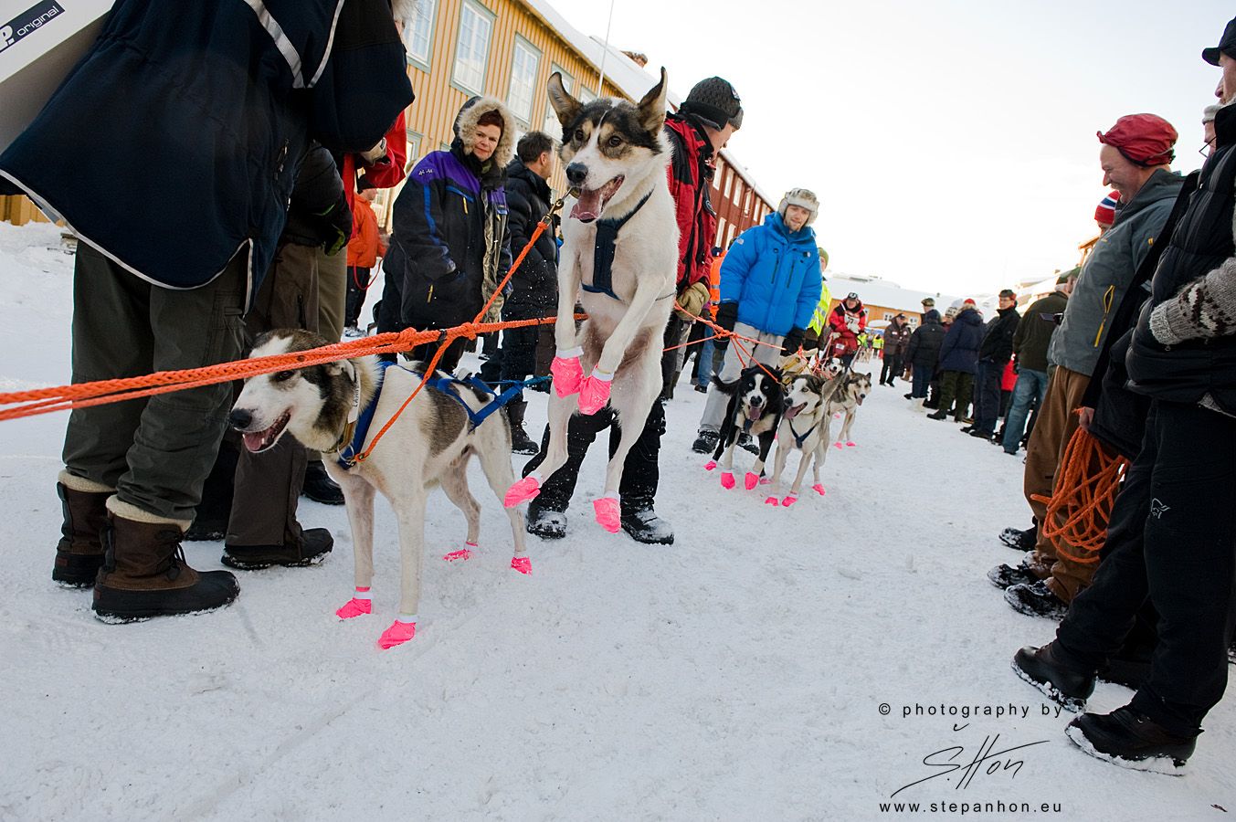 Femundløpet - startskuddet