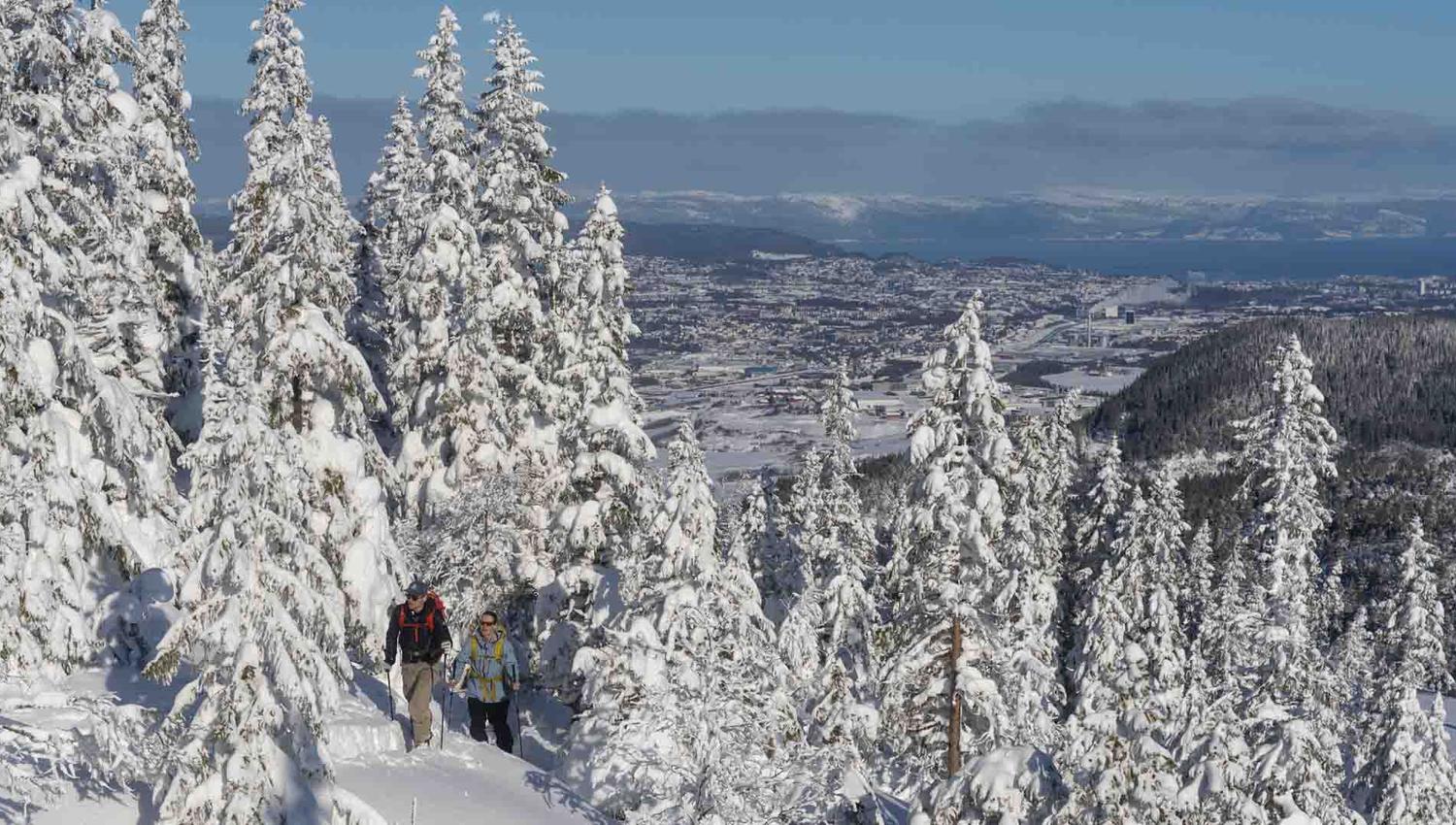 Vassfjellet Winter Park