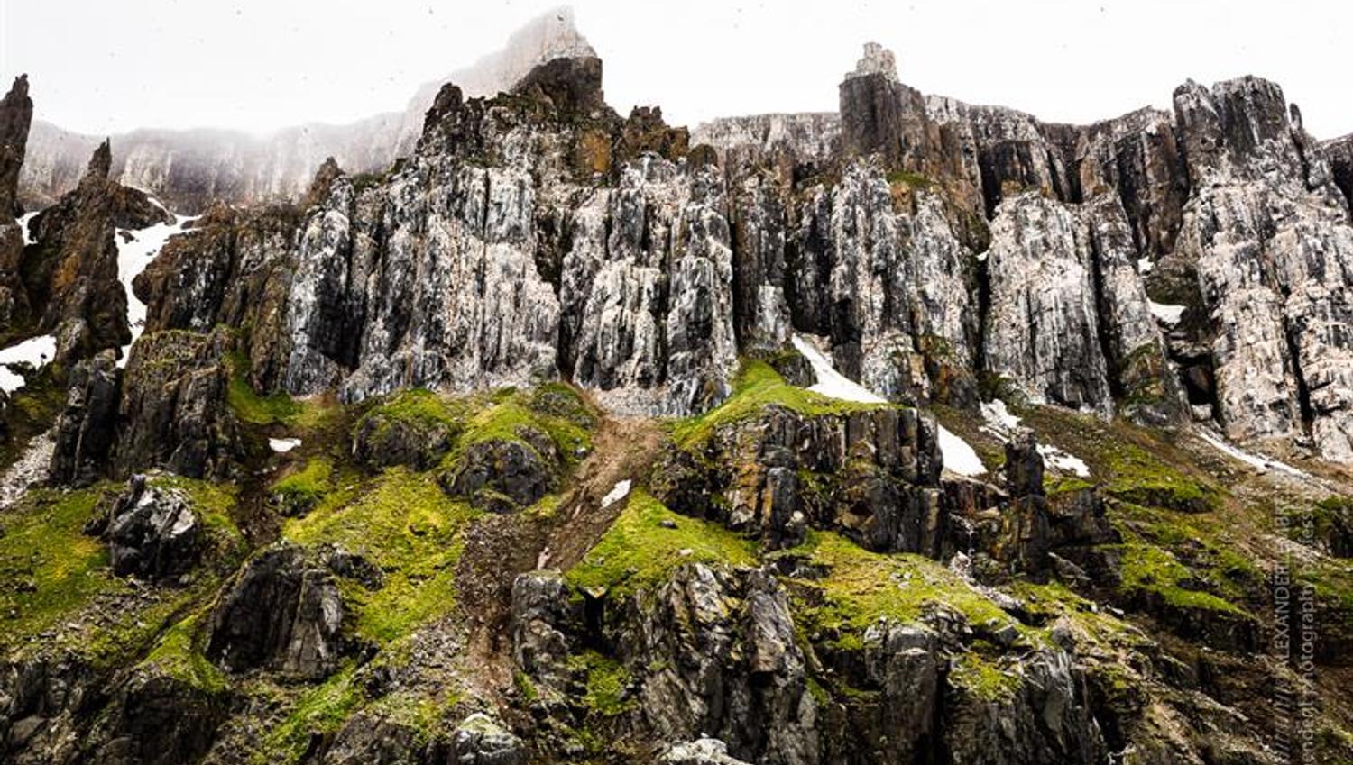 Green birdcliffs
