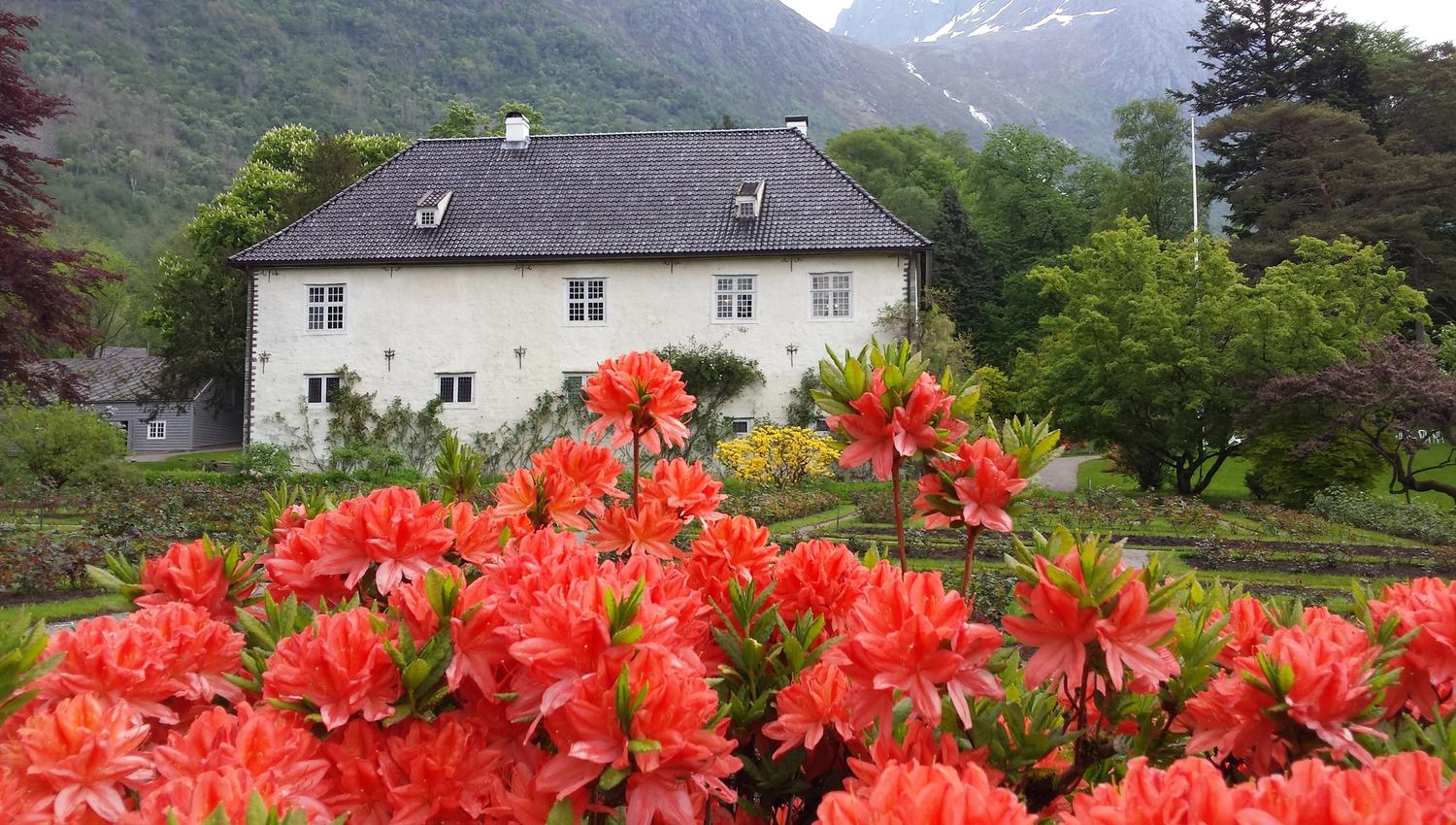 Baroniet Rosendal med vakre rododendron i renessansehagen.