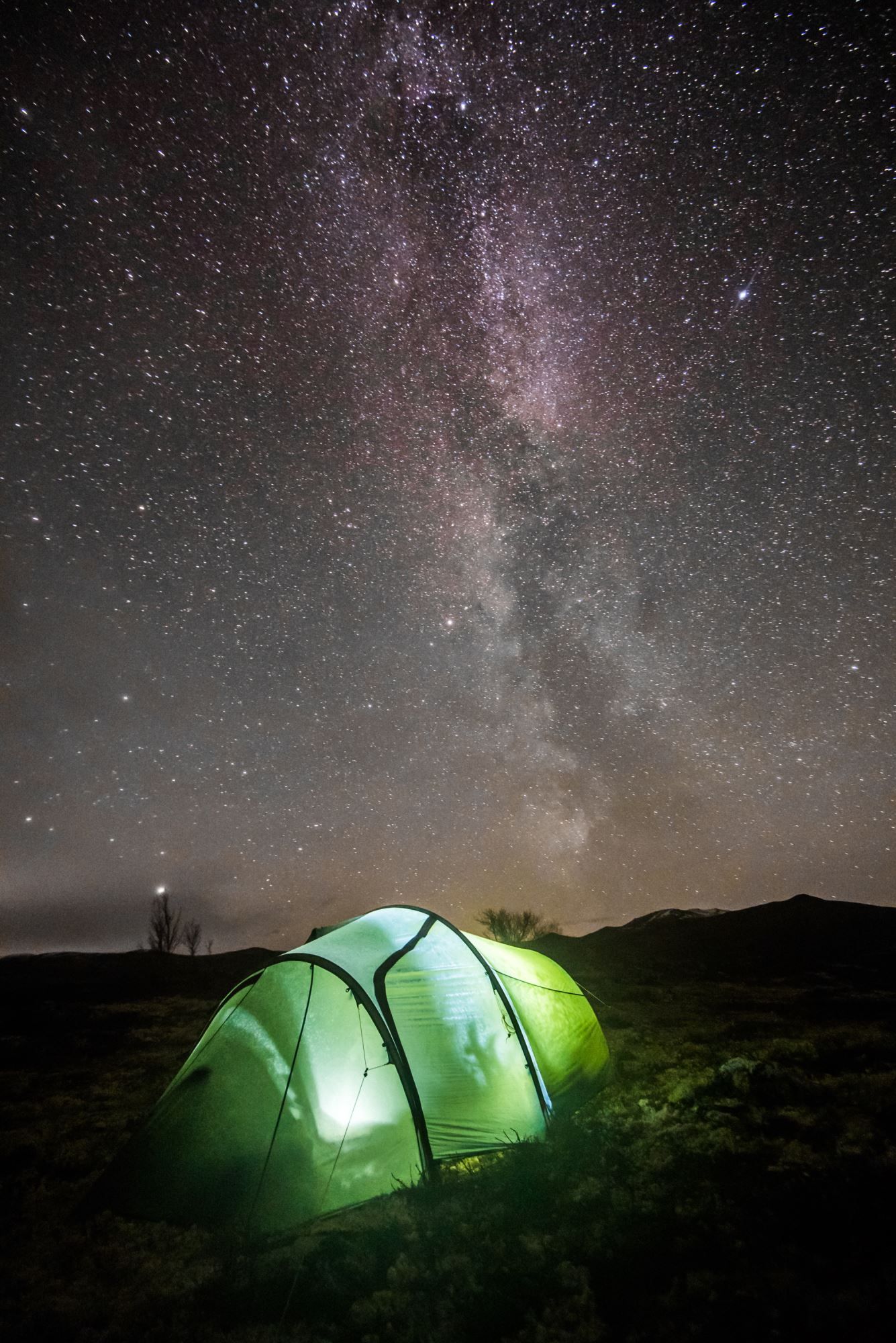 Moskussafari m/personlig guide, 2 dager