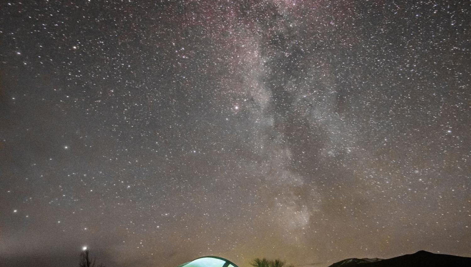 Moskussafari m/personlig guide, 2 dager