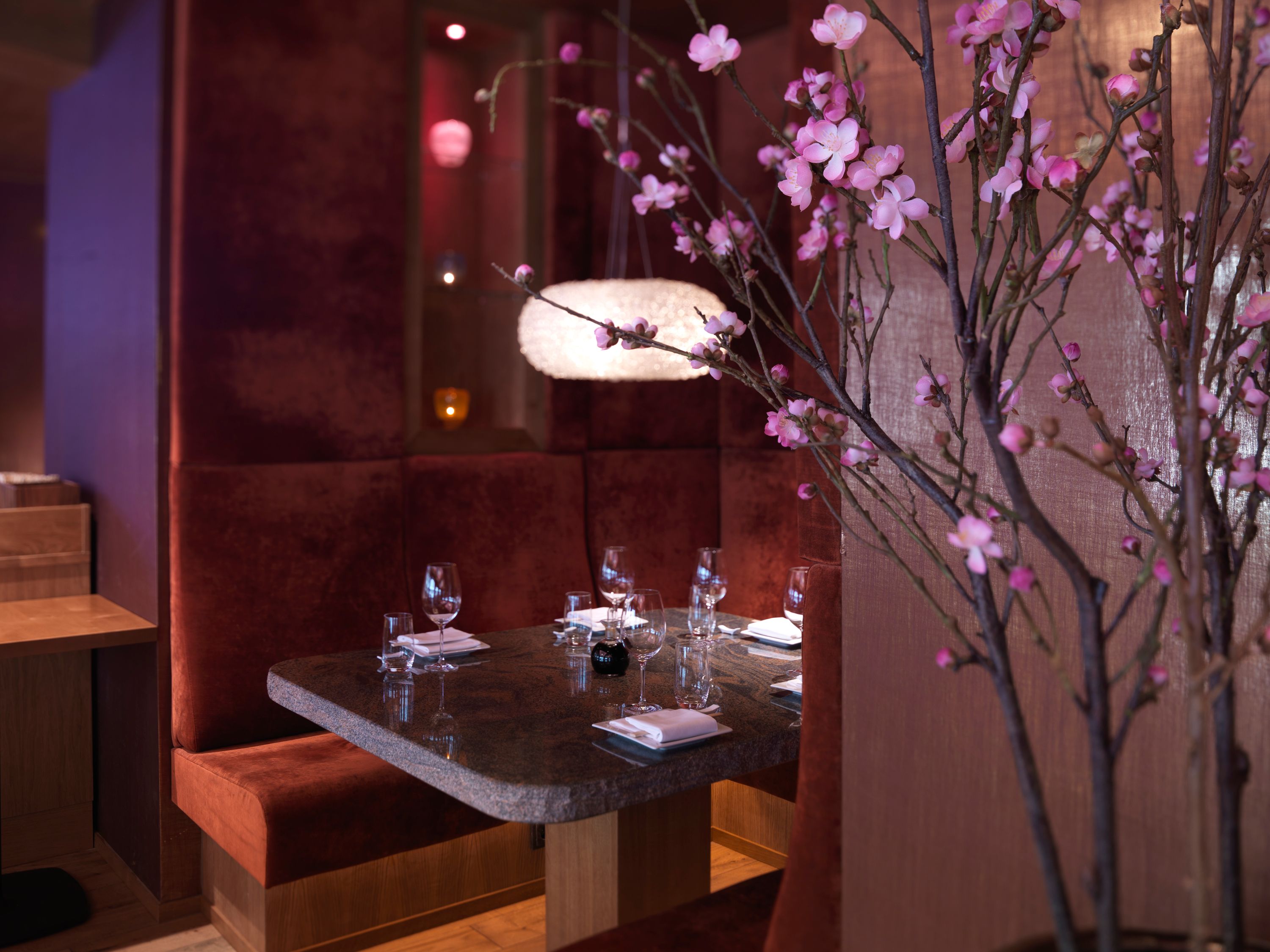 Nama Japanese Fusion