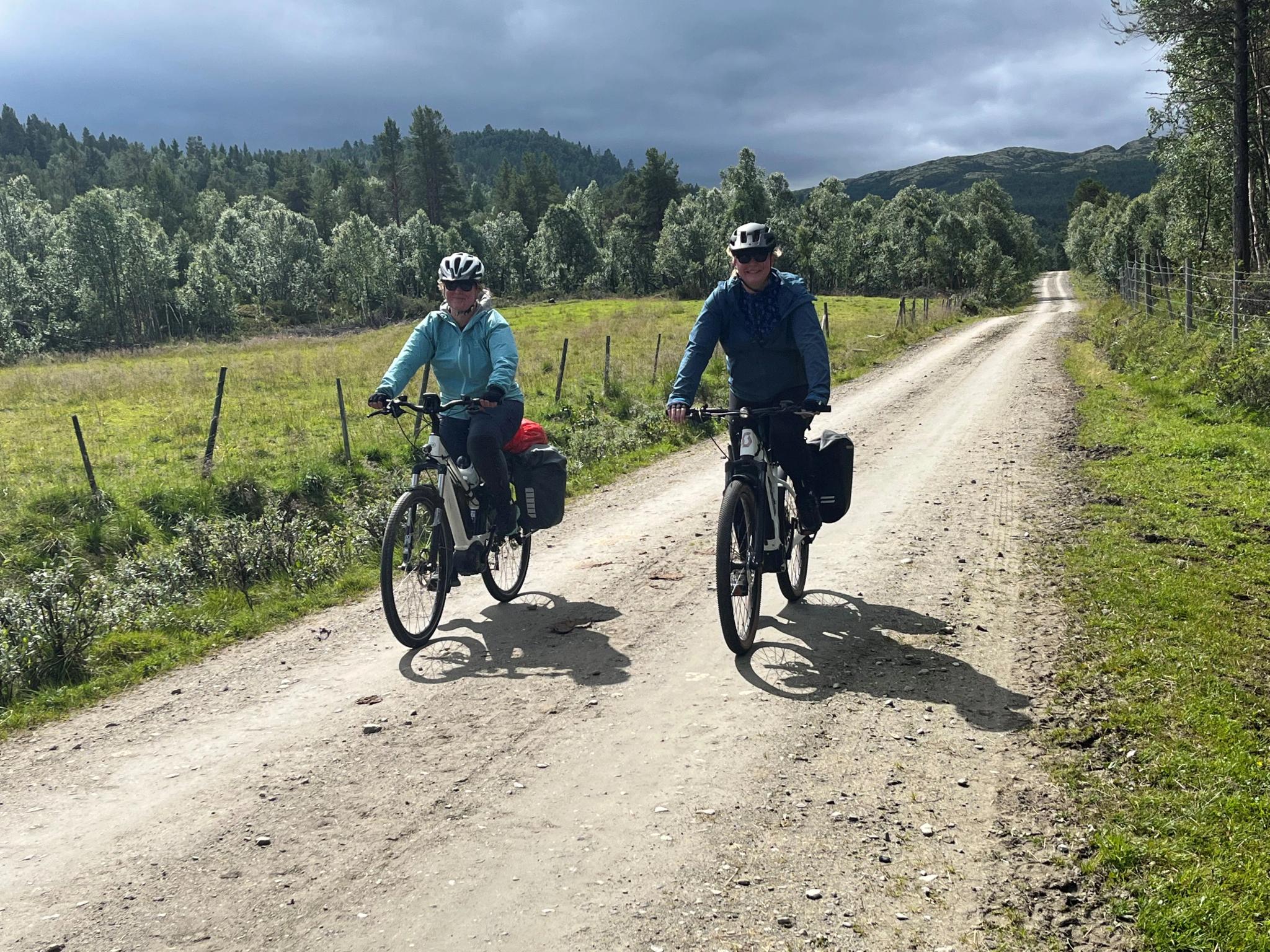 Elgtråkket- opplev Østerdalen på sykkel