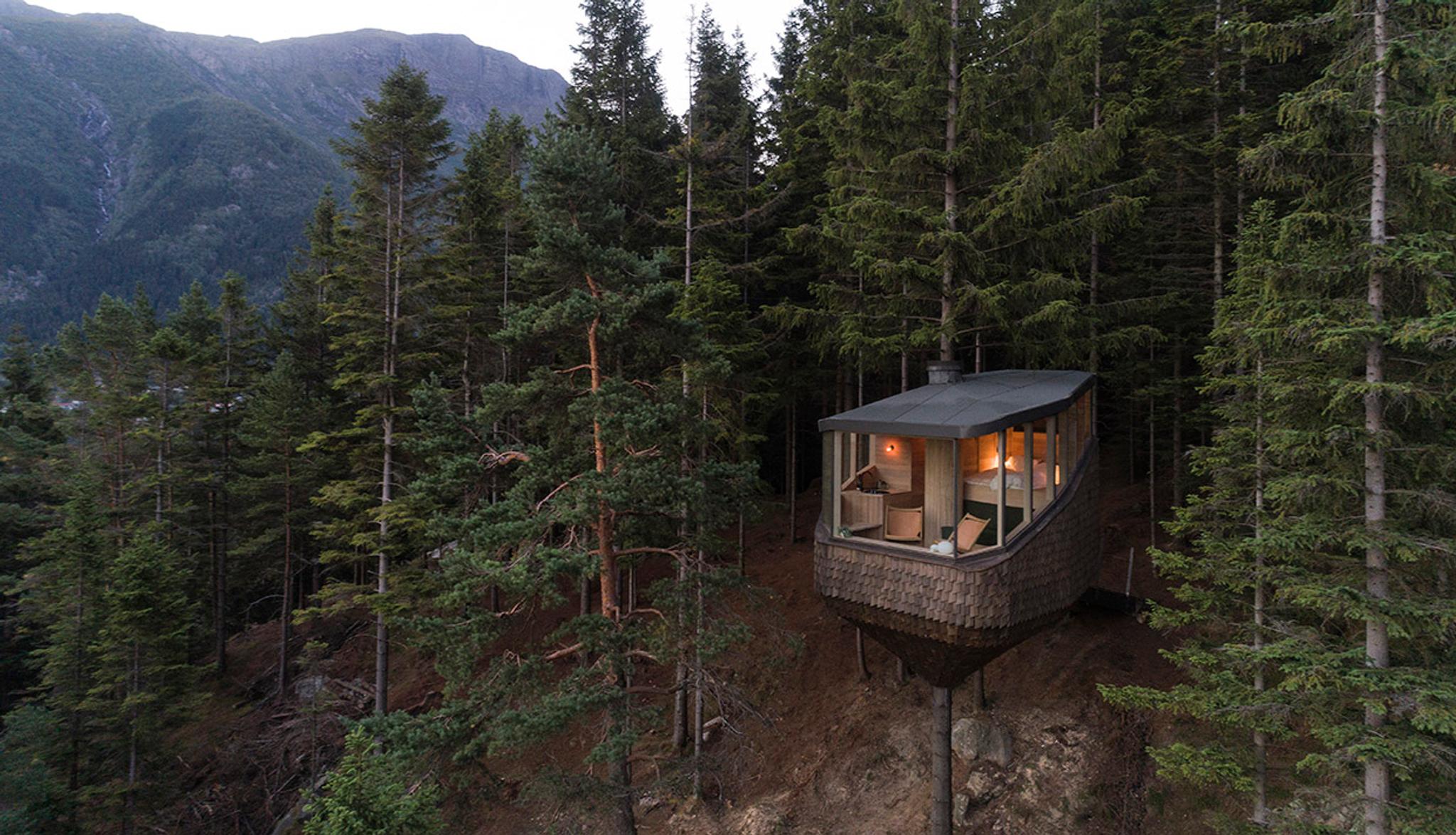 A modern treehouse from Woodnest in Odda, Hardanger, surrounded by dense forest and majestic mountains.