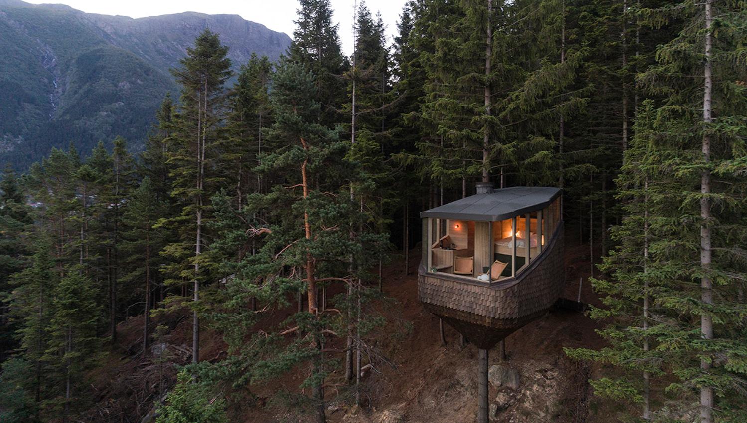 Ei moderne tretopphytte frå Woodnest i Odda, Hardanger, omgitt av tett skog og mektige fjell.
