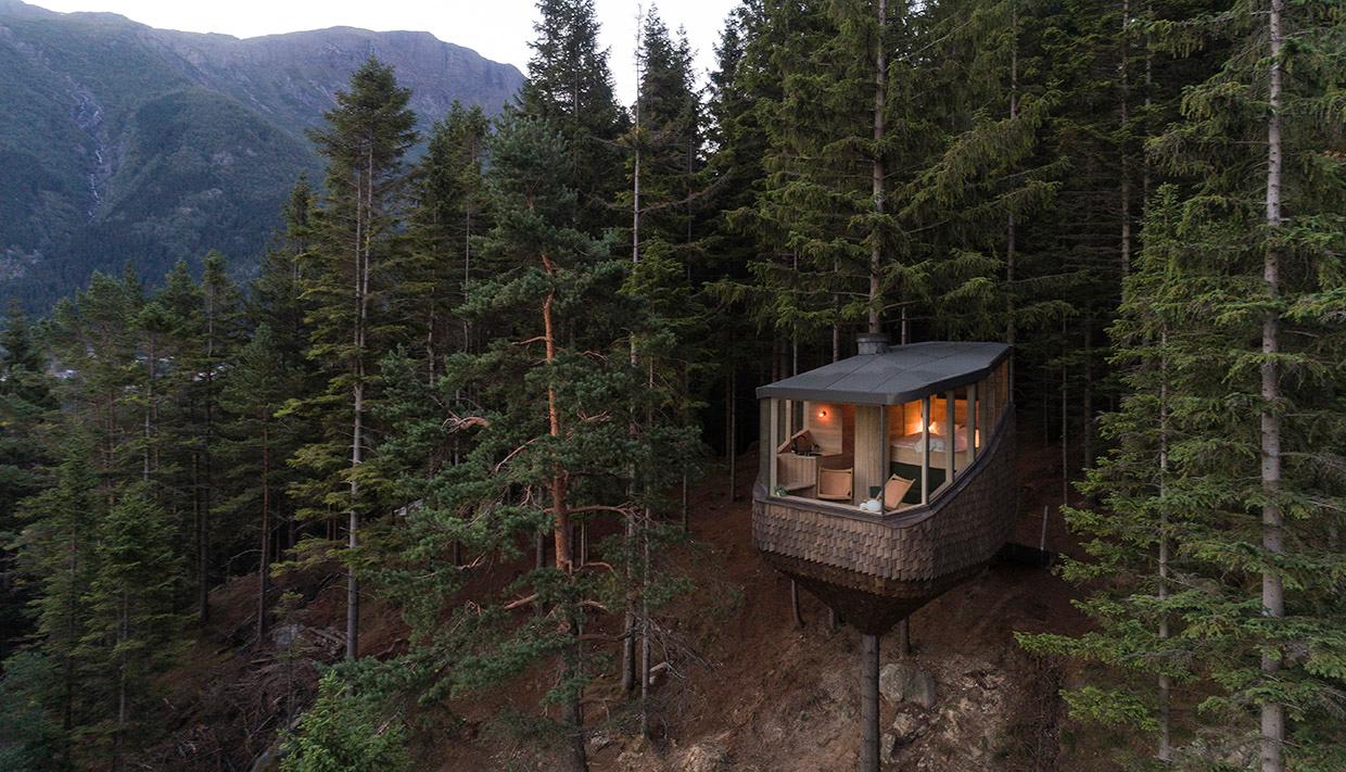 A modern treehouse from Woodnest in Odda, Hardanger, surrounded by dense forest and majestic mountains.