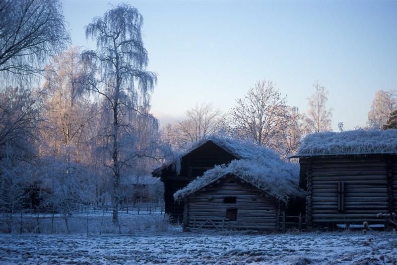 Gamle trebygg på en vinterdag. Norsk Folkemuseum.
