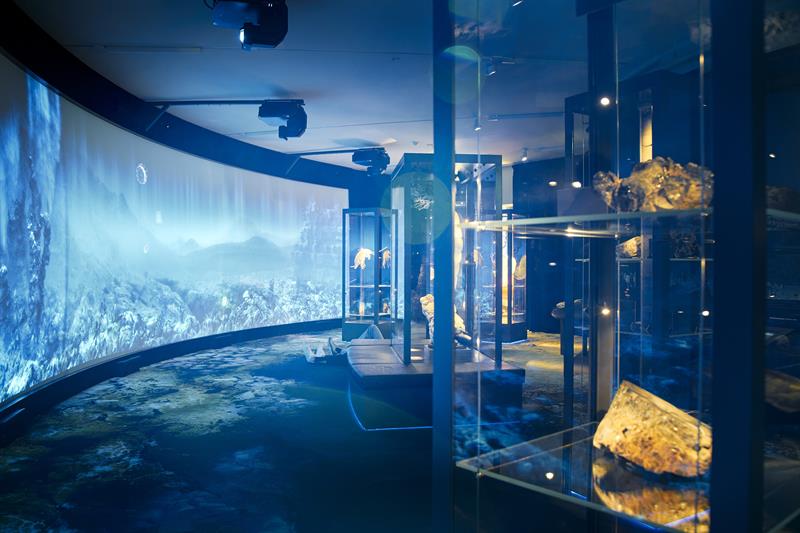 Universitetsmuseet i Bergen
