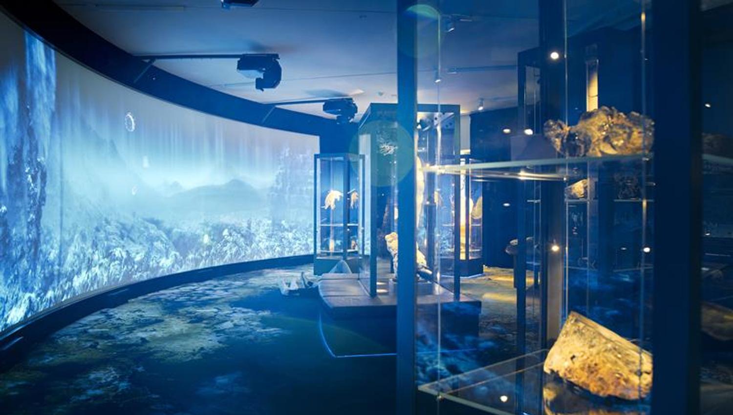Universitetsmuseet i Bergen