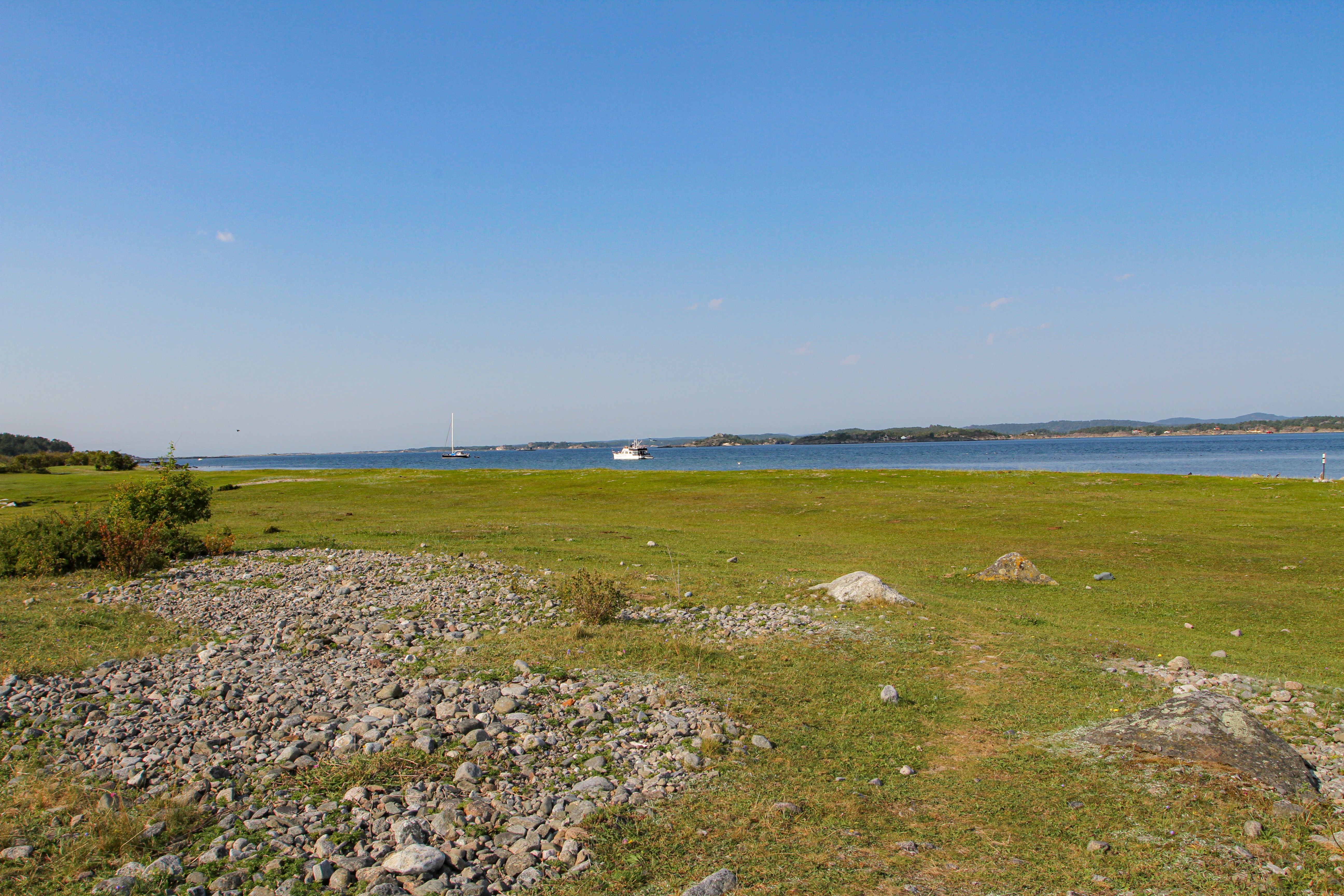 Utsikt fra fuglestasjon