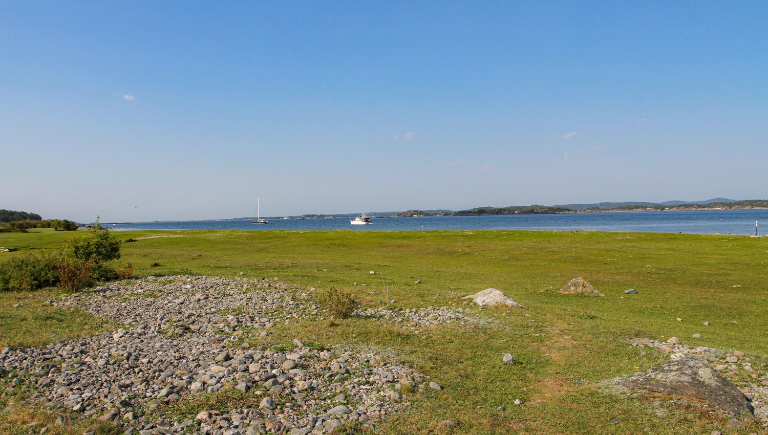 Utsikt fra fuglestasjon