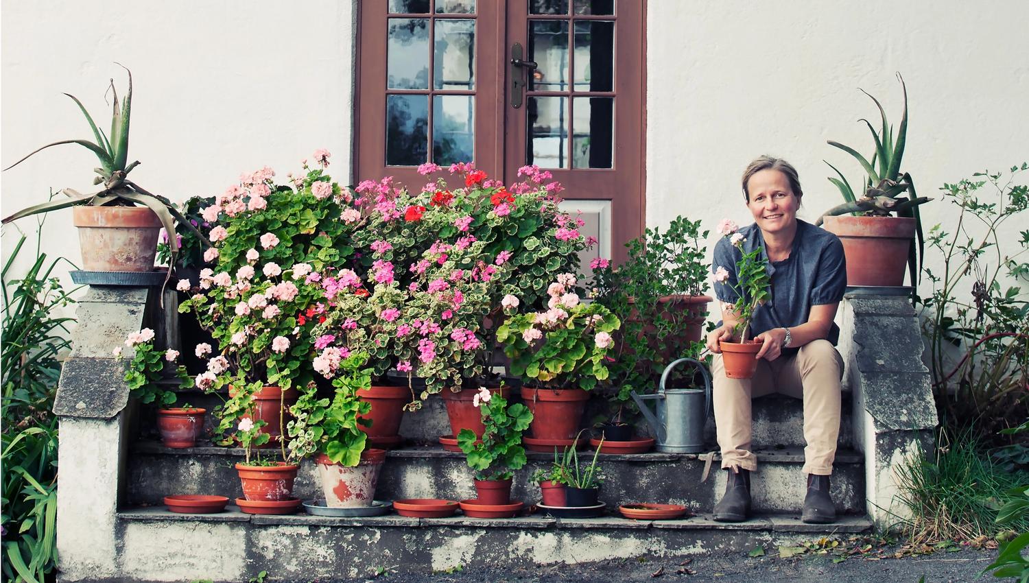 Den historiske hagen på hovelsrud gård