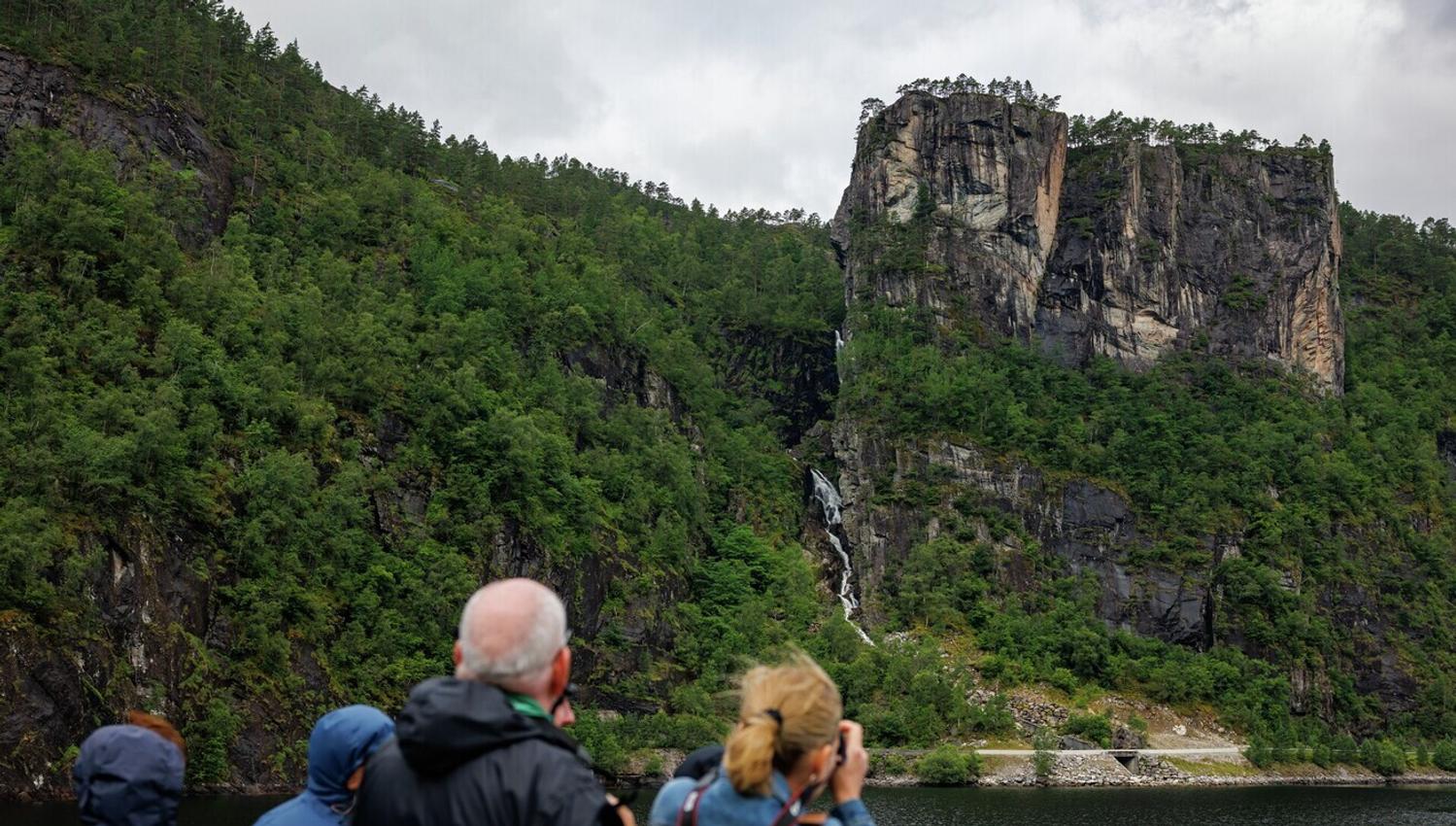 Halvdags fjordcruise fra Bergen til Mostraumen