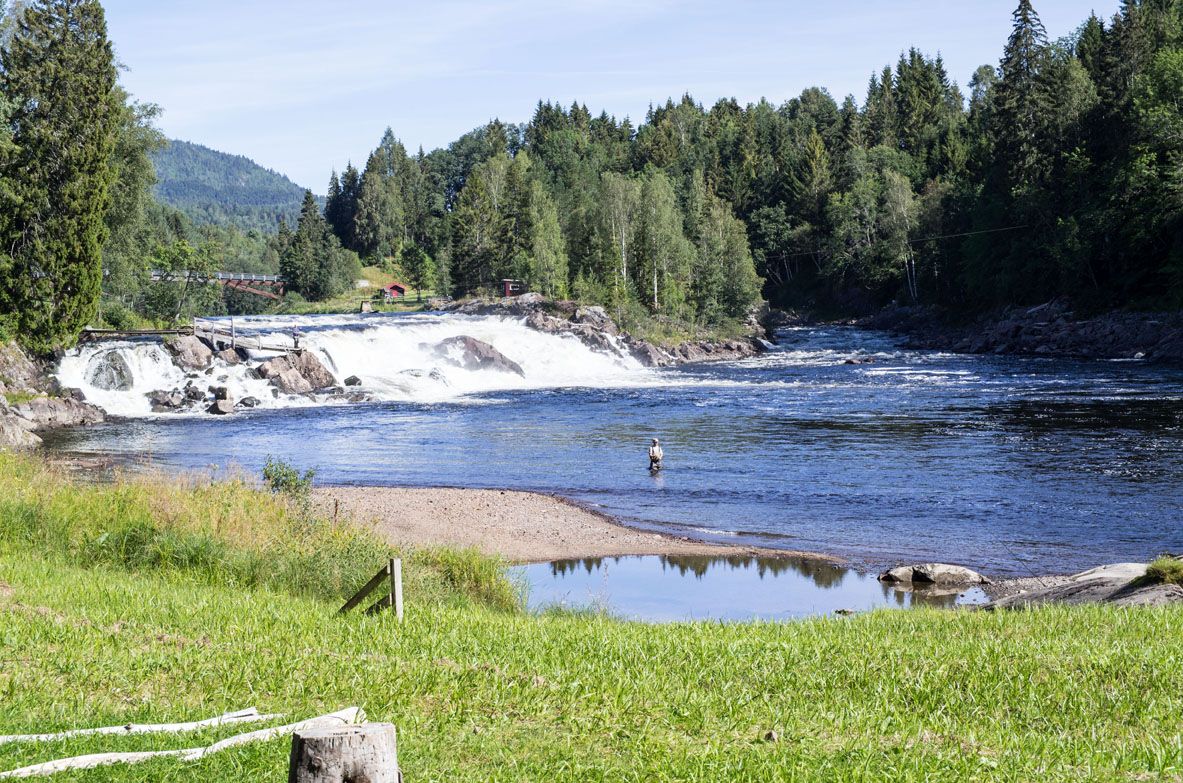 Grønn plen, grønn skog, blått vann i elva, foss