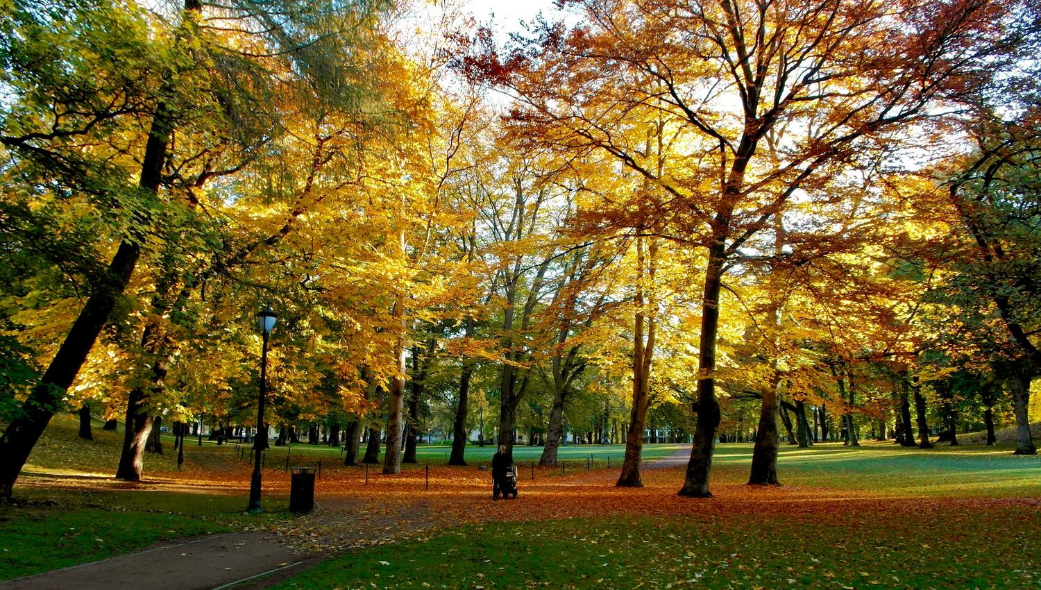 høstløv i slottsparken