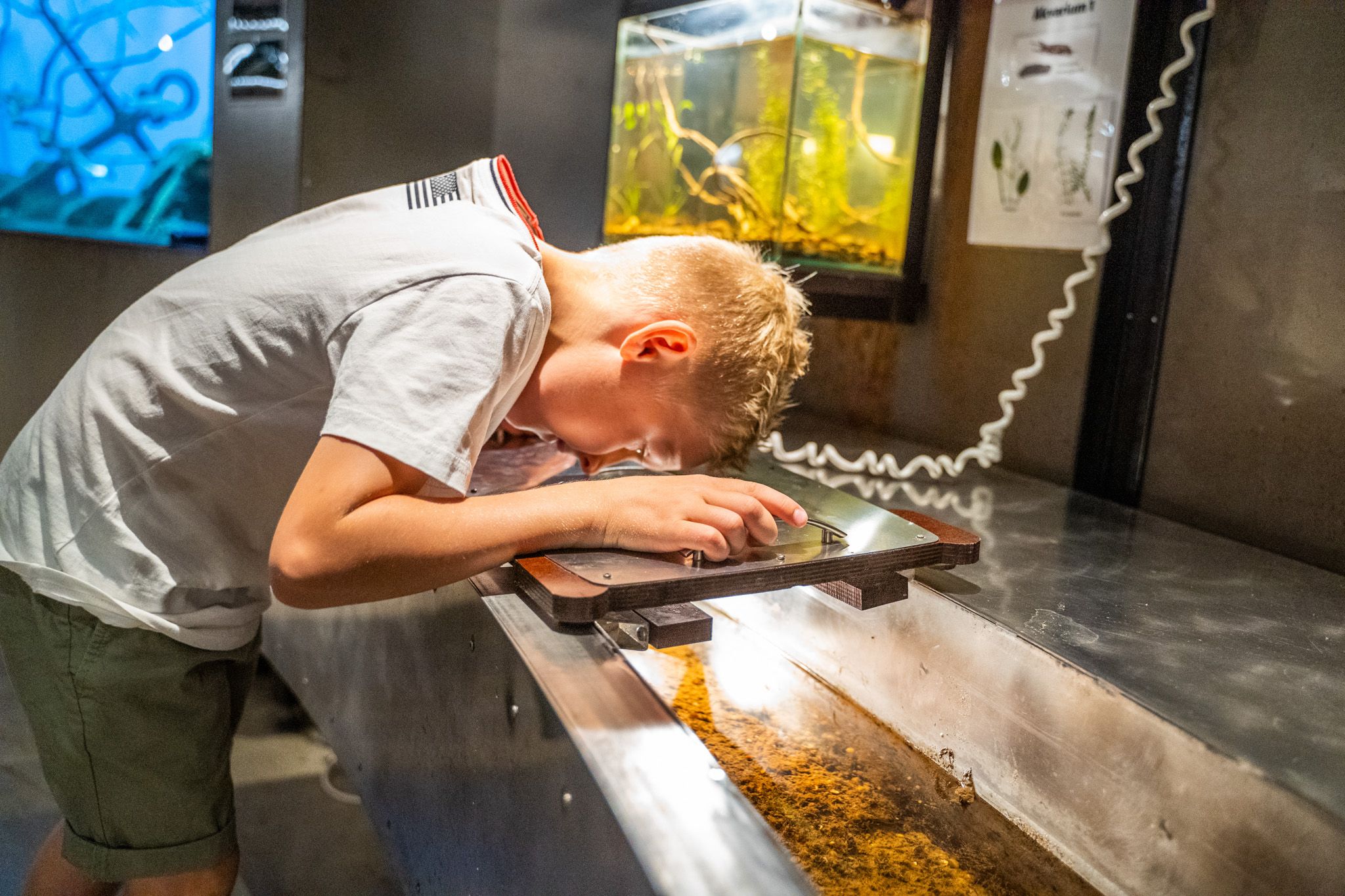 Bildet viser en gutt som bøyer seg ned og ser nøye på noe gjennom et forstørrelsesglass i en utstilling. Foran ham er en vanntank med planter, og bak ser man flere akvarier. Han virker veldig konsentrert og nysgjerrig.