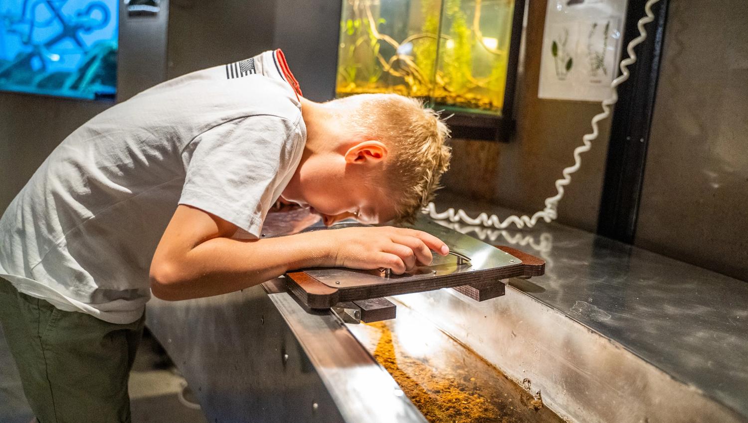 Bildet viser en gutt som bøyer seg ned og ser nøye på noe gjennom et forstørrelsesglass i en utstilling. Foran ham er en vanntank med planter, og bak ser man flere akvarier. Han virker veldig konsentrert og nysgjerrig.